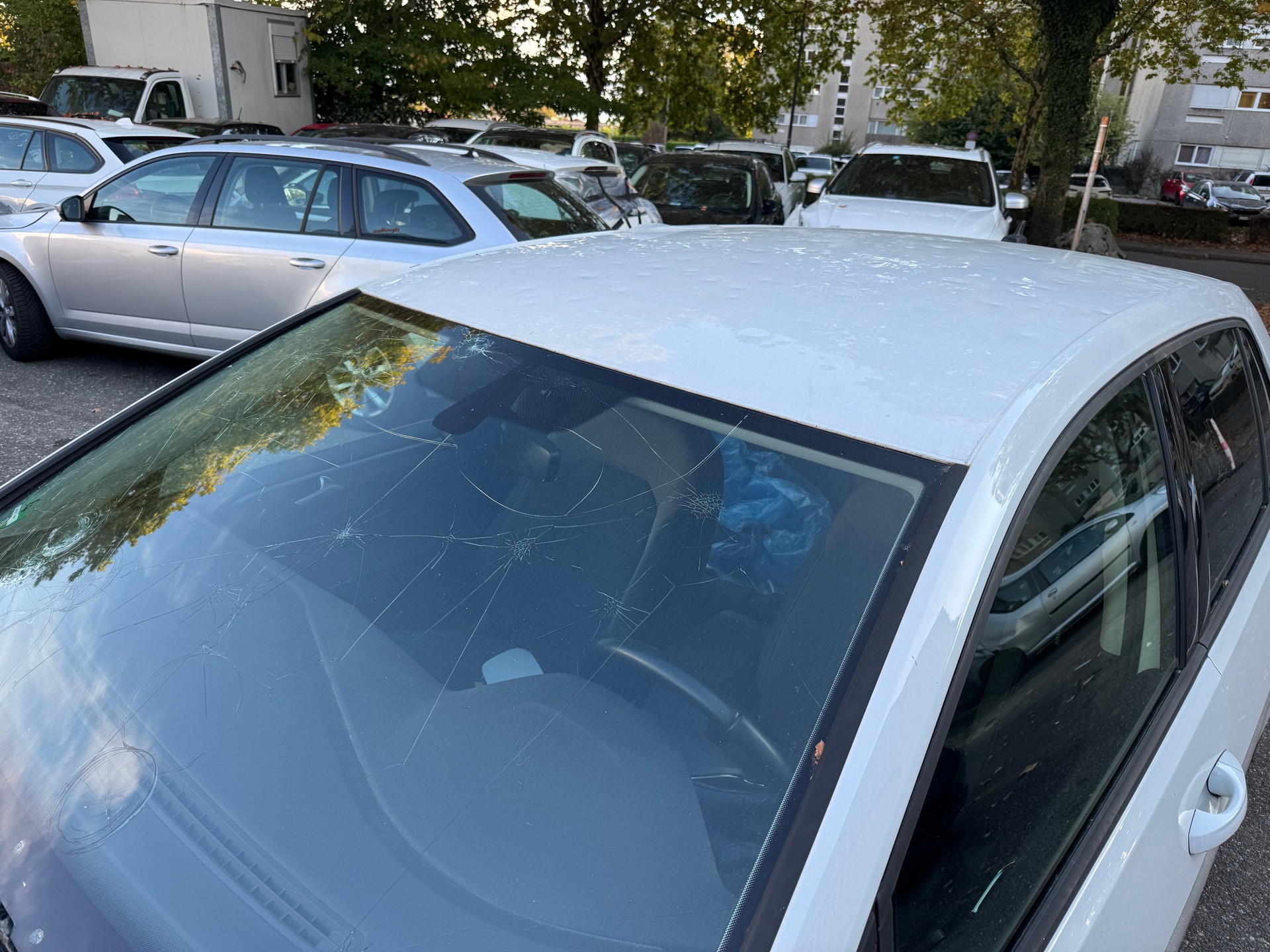 VW Golf 1.5 TSI EVO R-line DSG-image-7