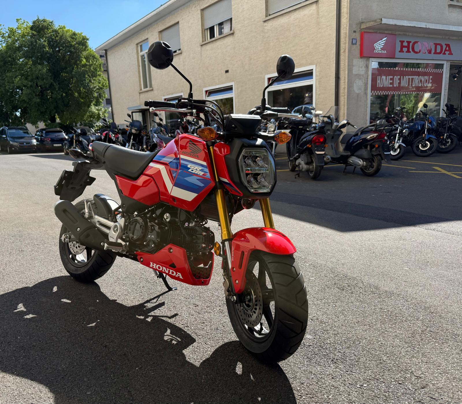 HONDA MSX 125-showroom-element-1