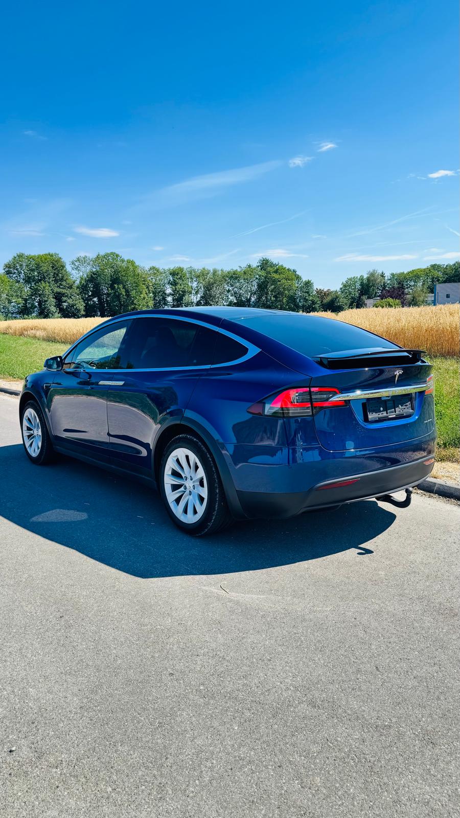 TESLA Long Range Plus-image-2