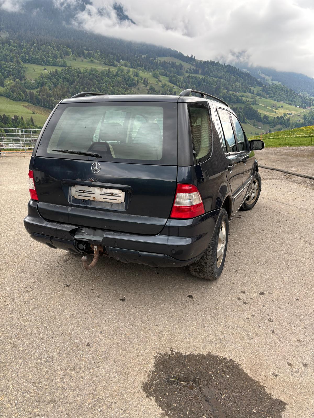MERCEDES-BENZ ML 270 CDI-image-2