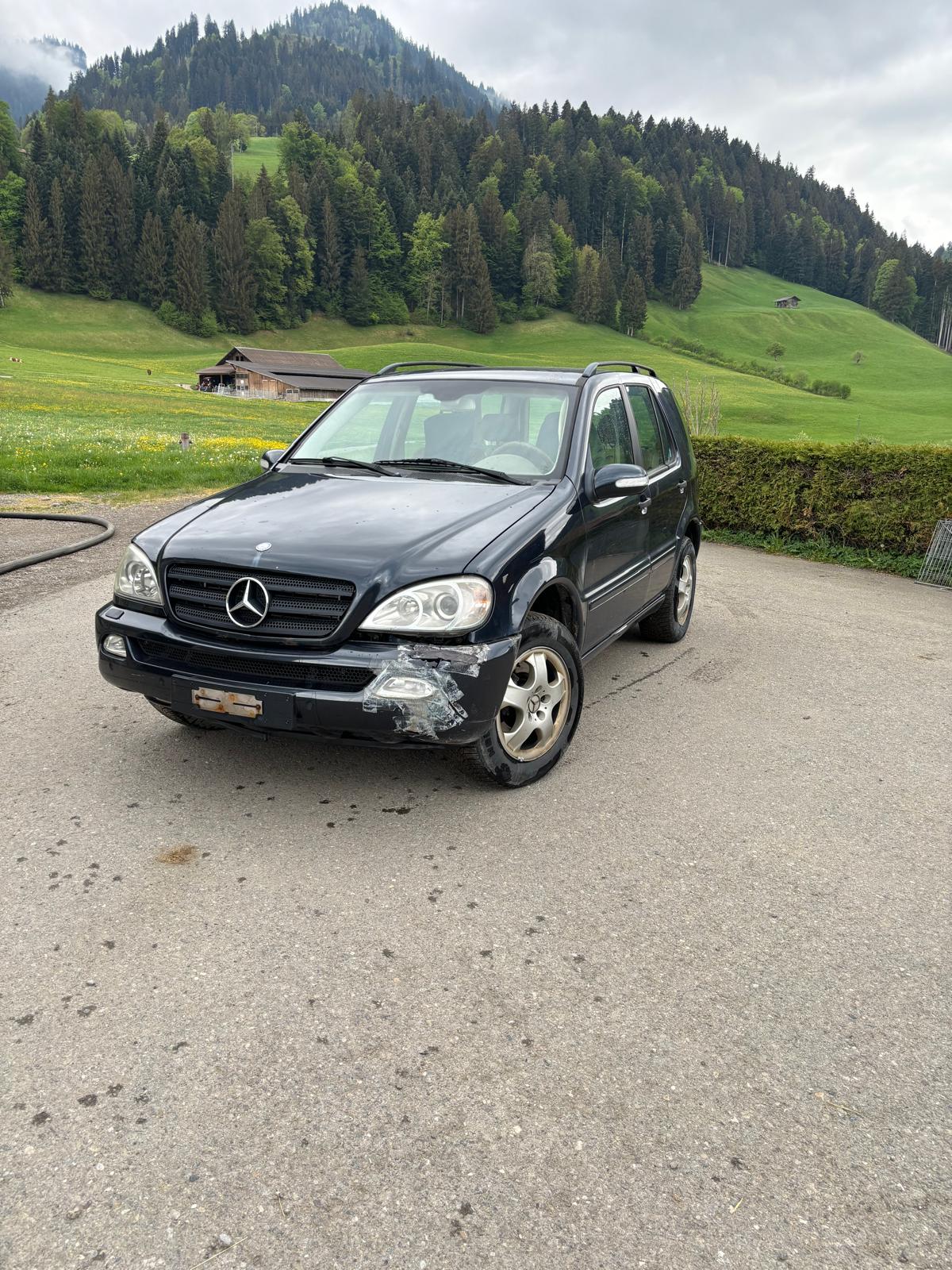 MERCEDES-BENZ ML 270 CDI-image-1