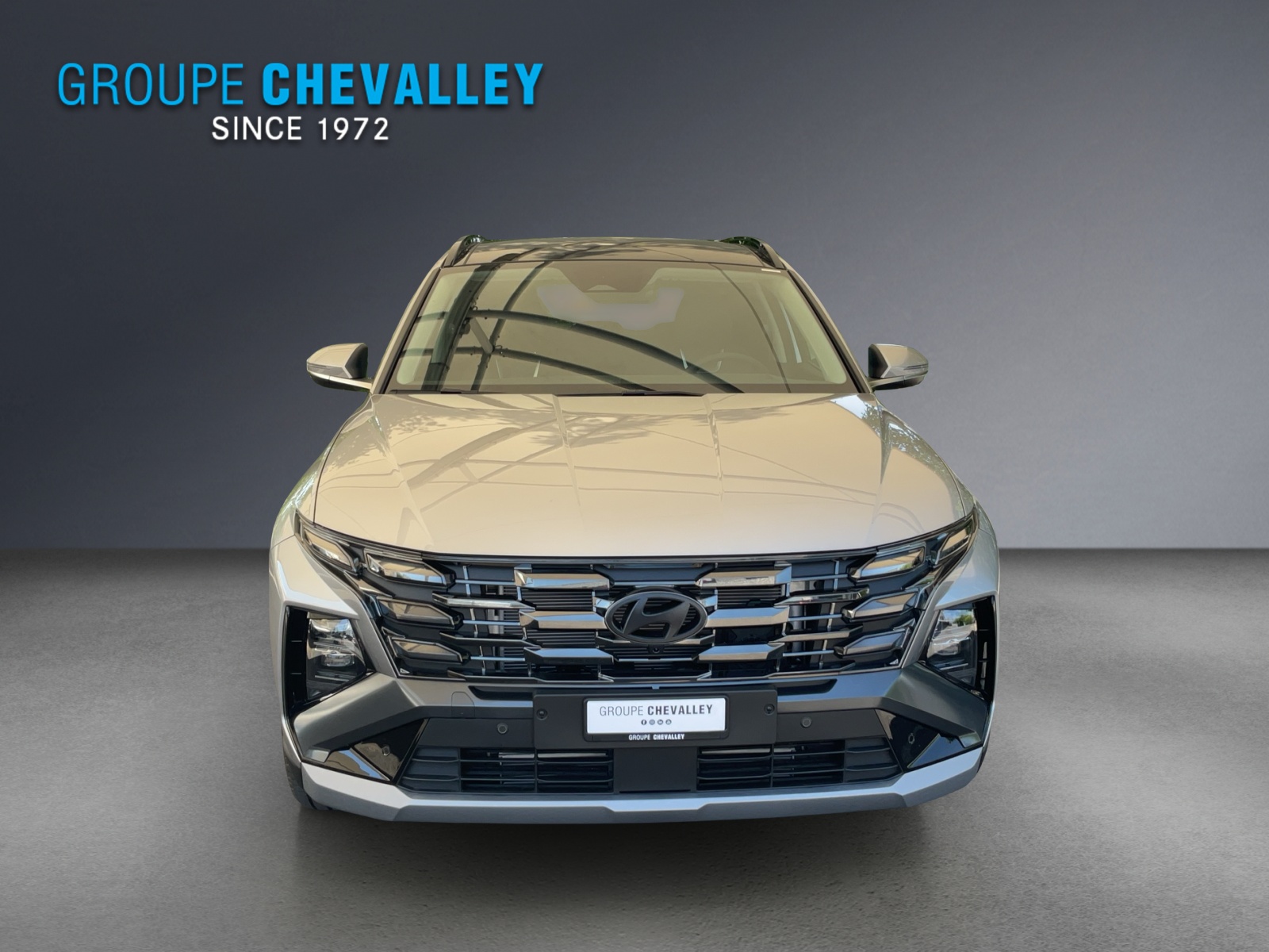 HYUNDAI Tucson 1.6 TGDI HEV Vertex 4WD Swiss Edition-image-1
