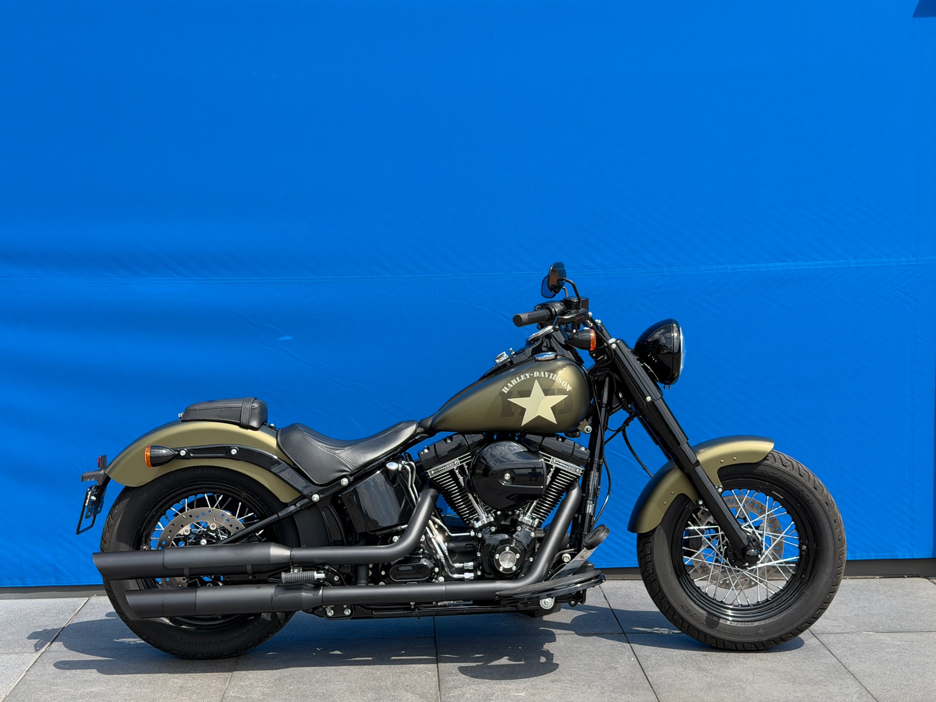 HARLEY-DAVIDSON FLSS Softail Slim S110 ABS