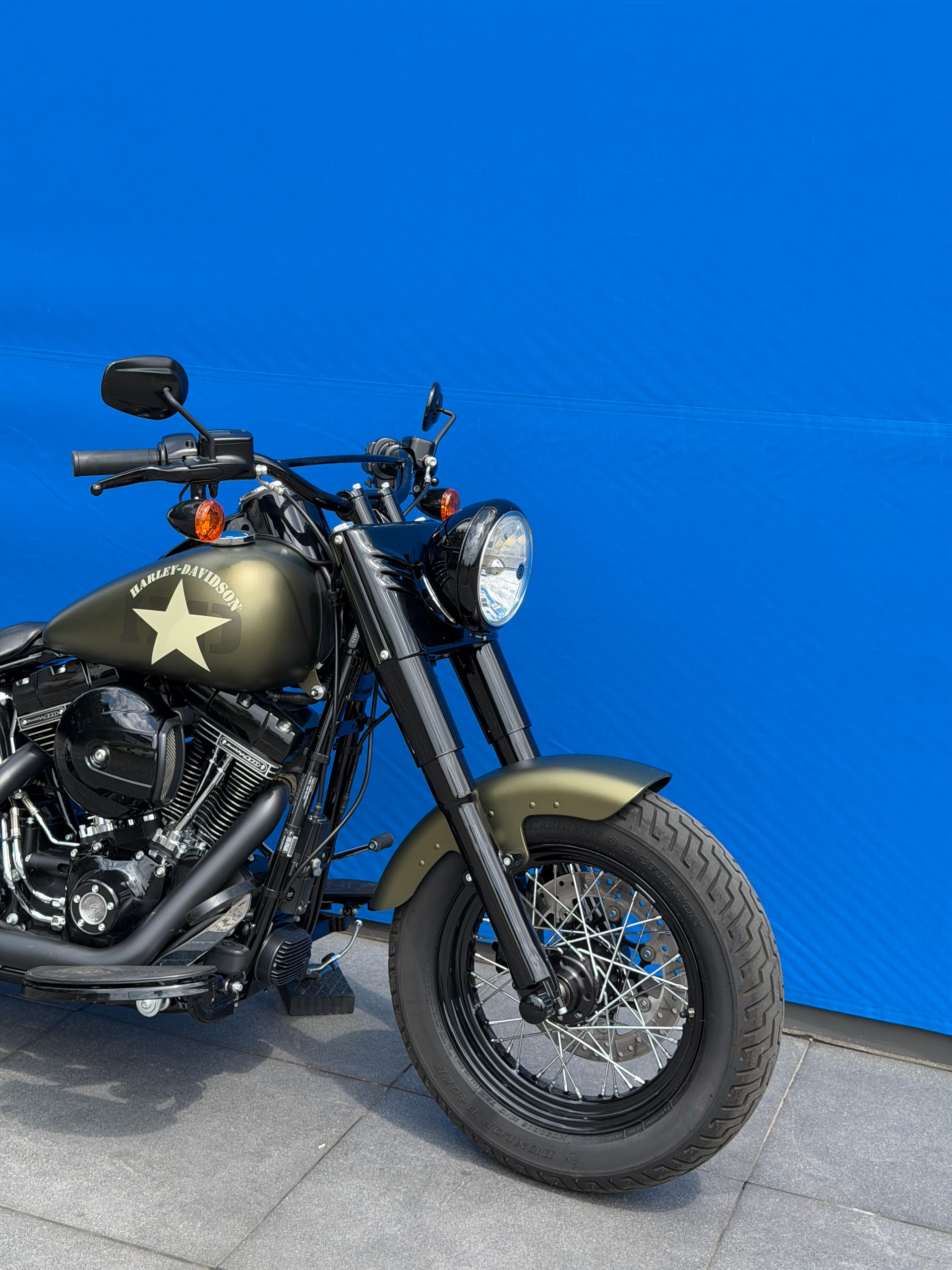 HARLEY-DAVIDSON FLSS Softail Slim S110 ABS-showroom-element-1