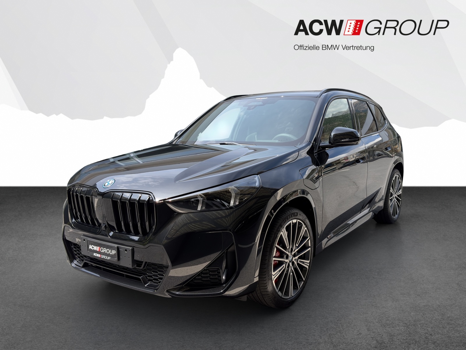 BMW X1 30e xDrive