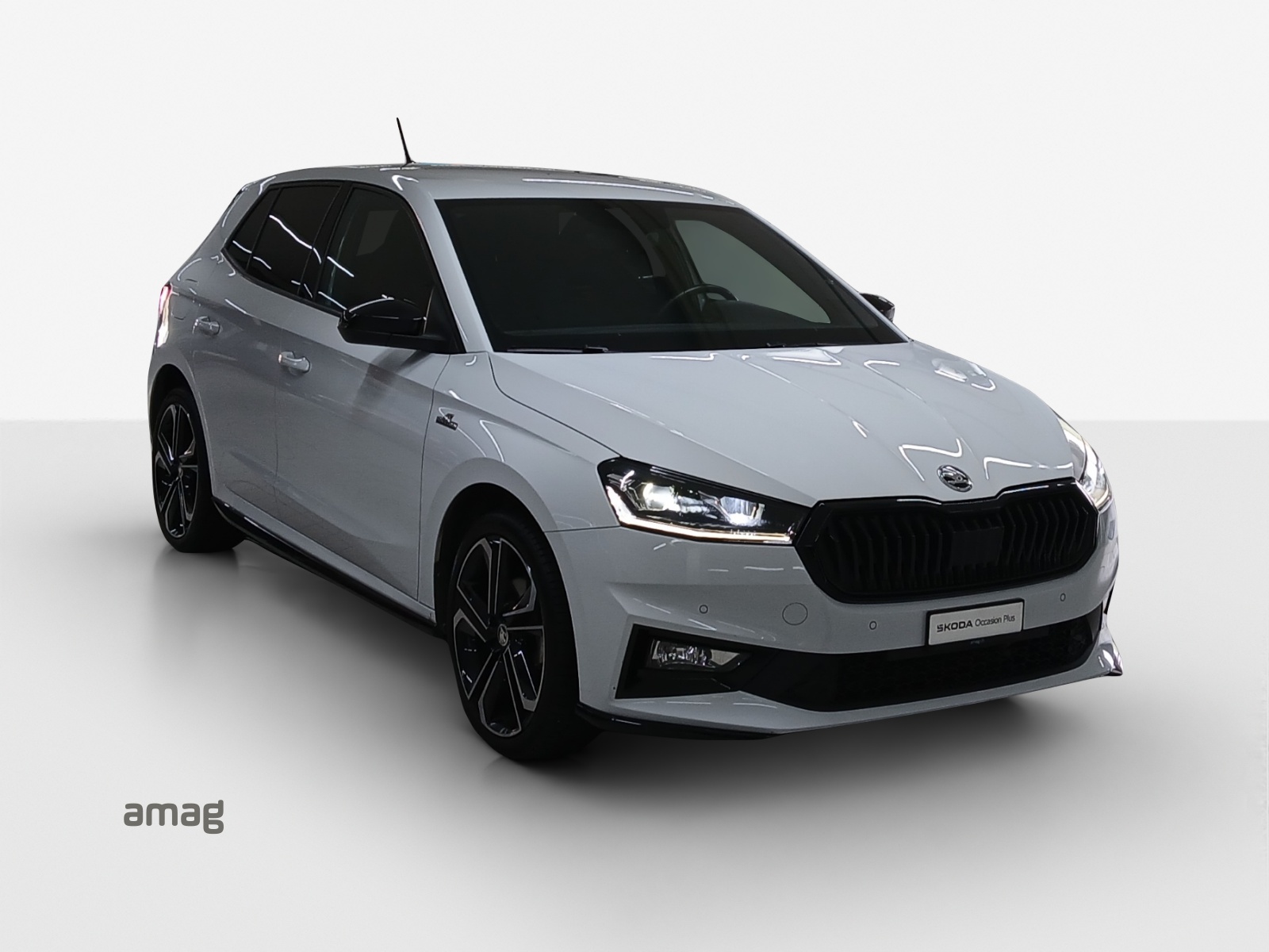 SKODA Fabia 1.0 TSI Monte Carlo DSG-image-5