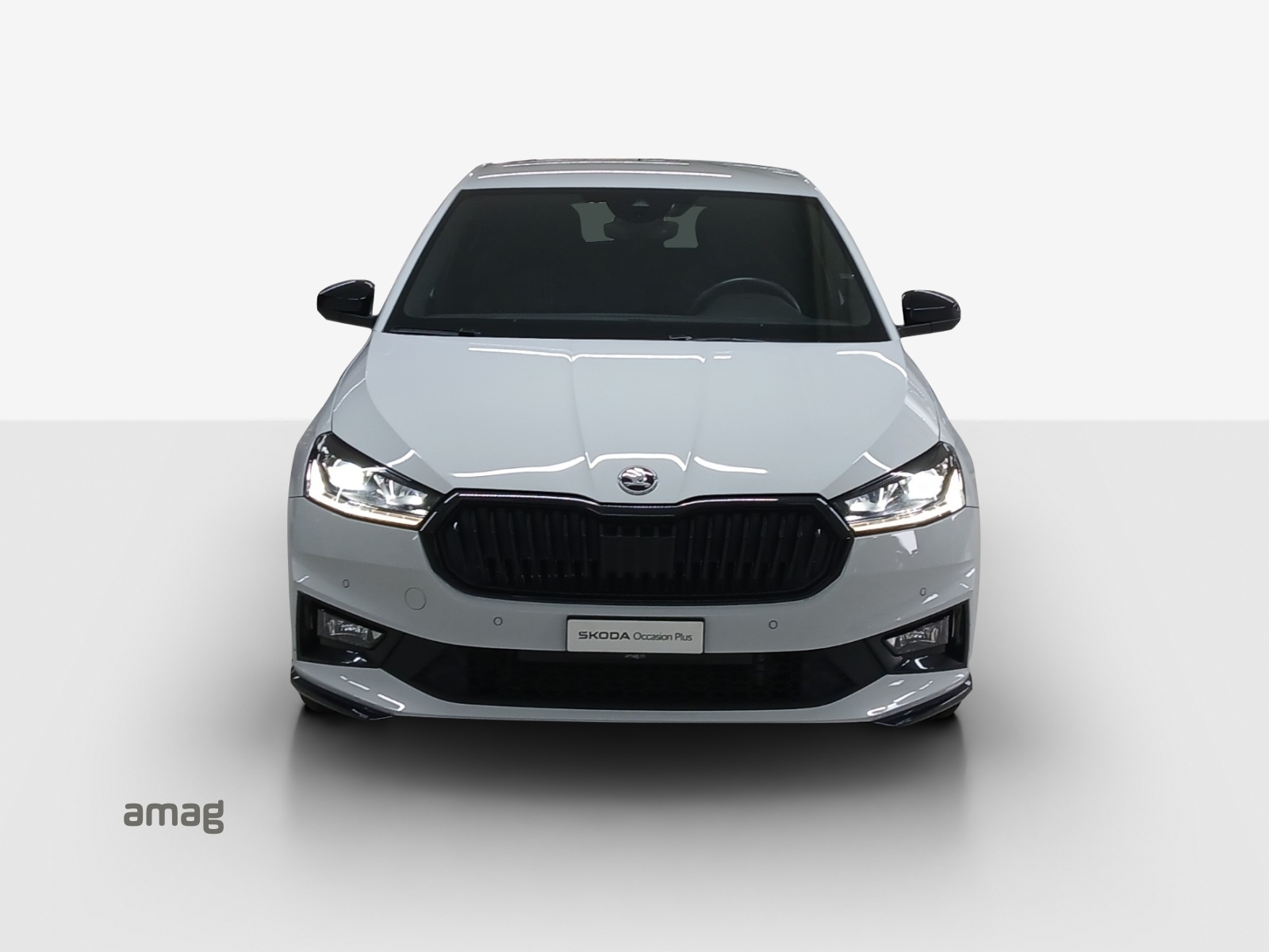 SKODA Fabia 1.0 TSI Monte Carlo DSG-image-6