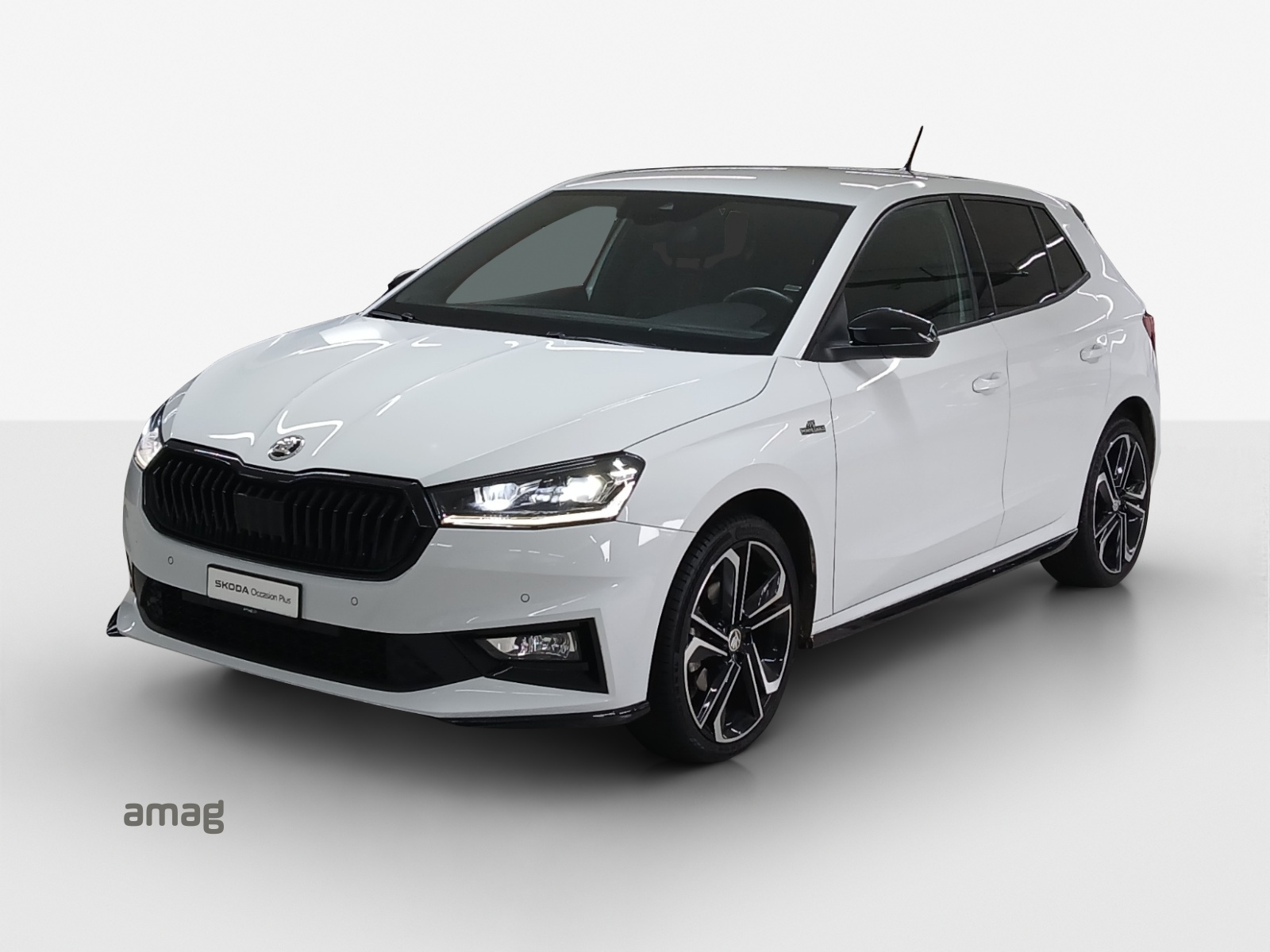 SKODA Fabia 1.0 TSI Monte Carlo DSG-image-0