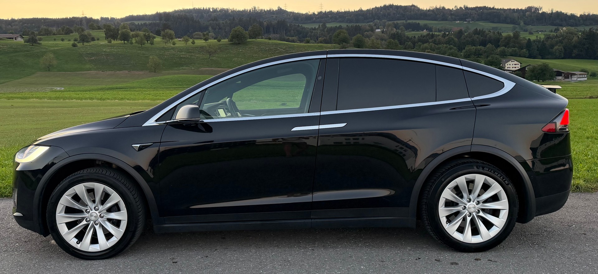 TESLA Model X 100 D-image-2