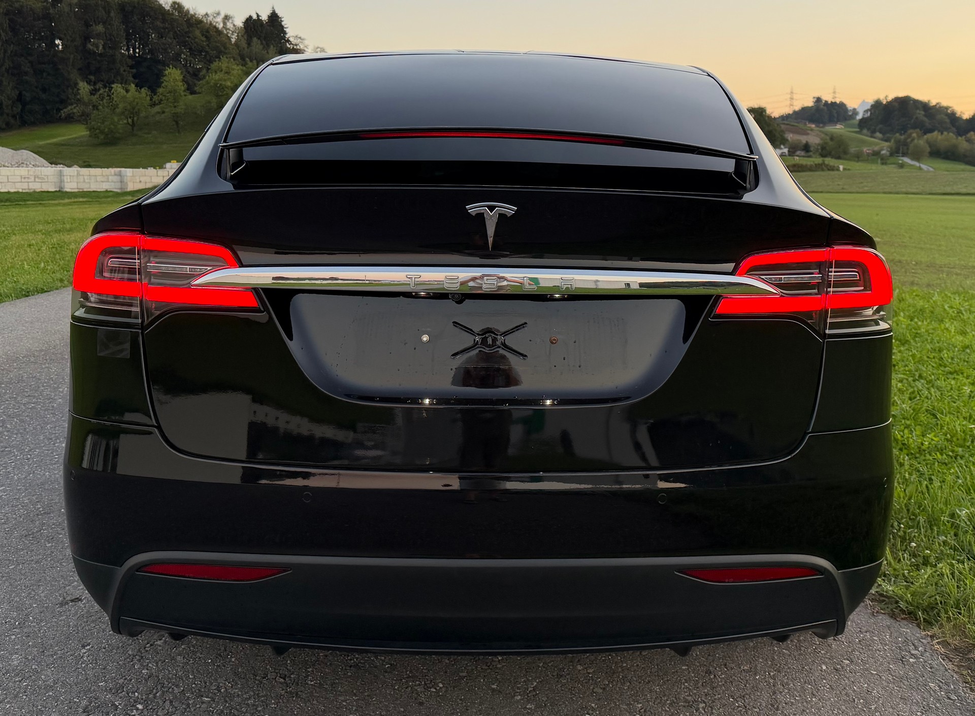 TESLA Model X 100 D-image-4