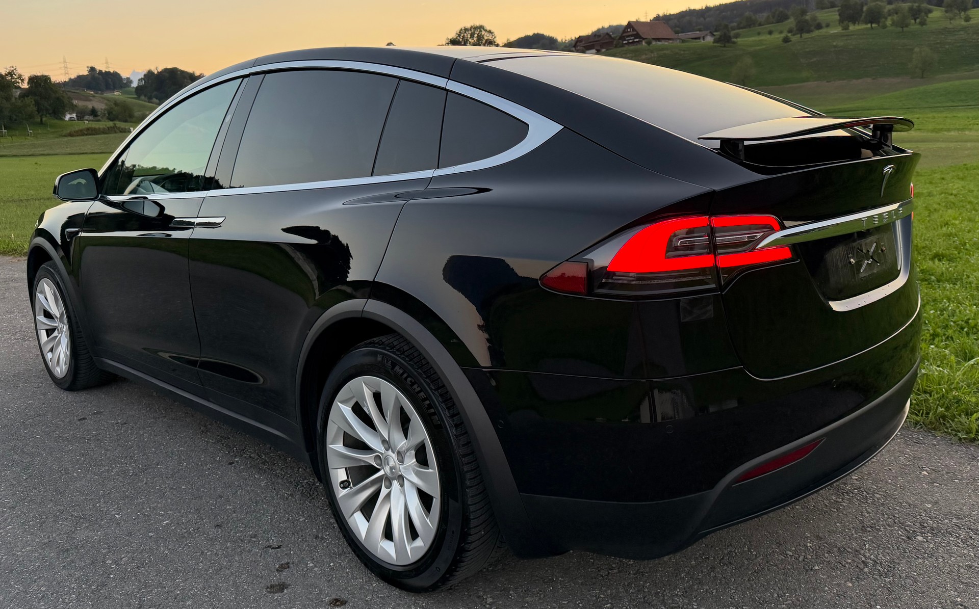 TESLA Model X 100 D-image-3