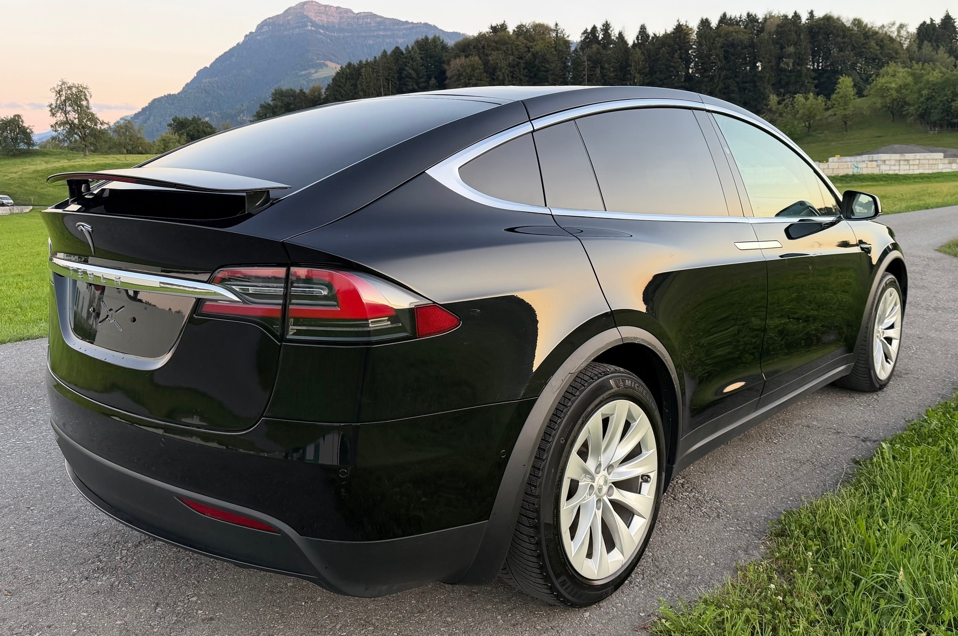 TESLA Model X 100 D-image-5