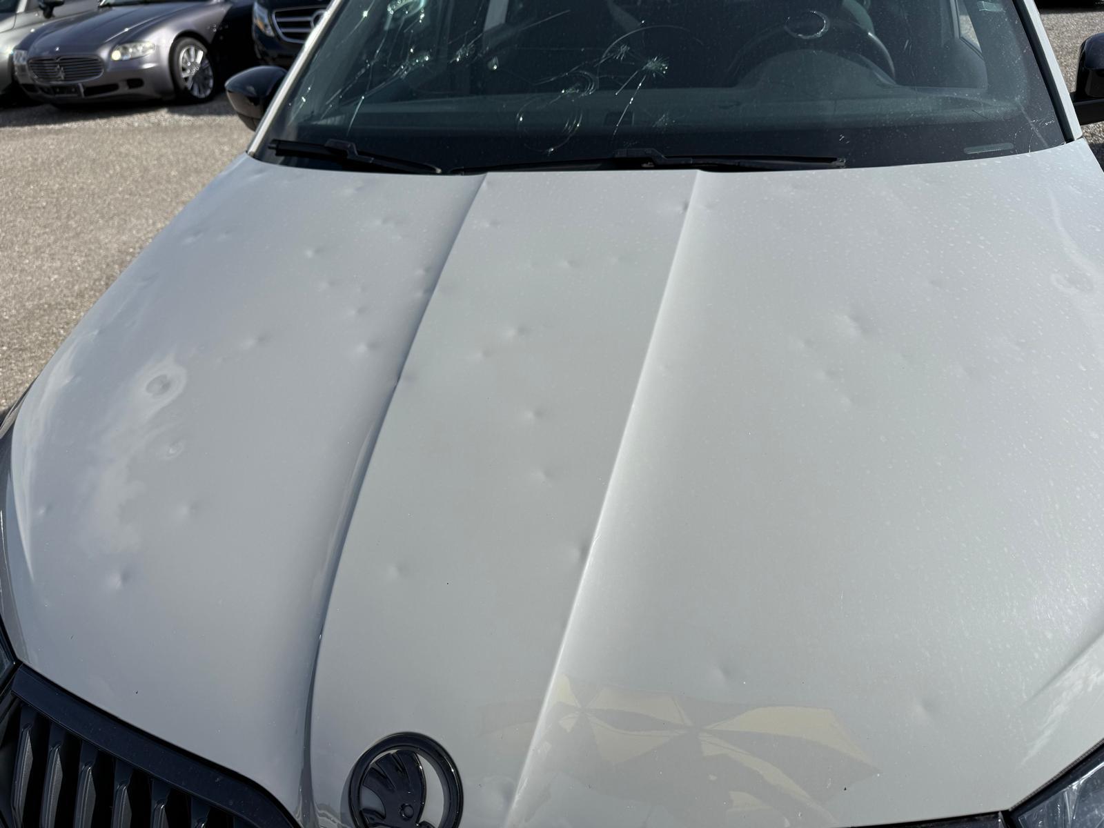 SKODA Fabia 1.0 TSI Monte Carlo DSG-image-2