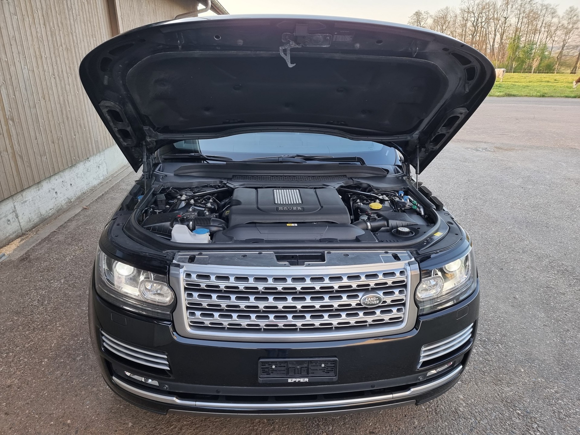 LAND ROVER Range Rover 4.4 TDV8 Autobiography Black Automatic-image-13