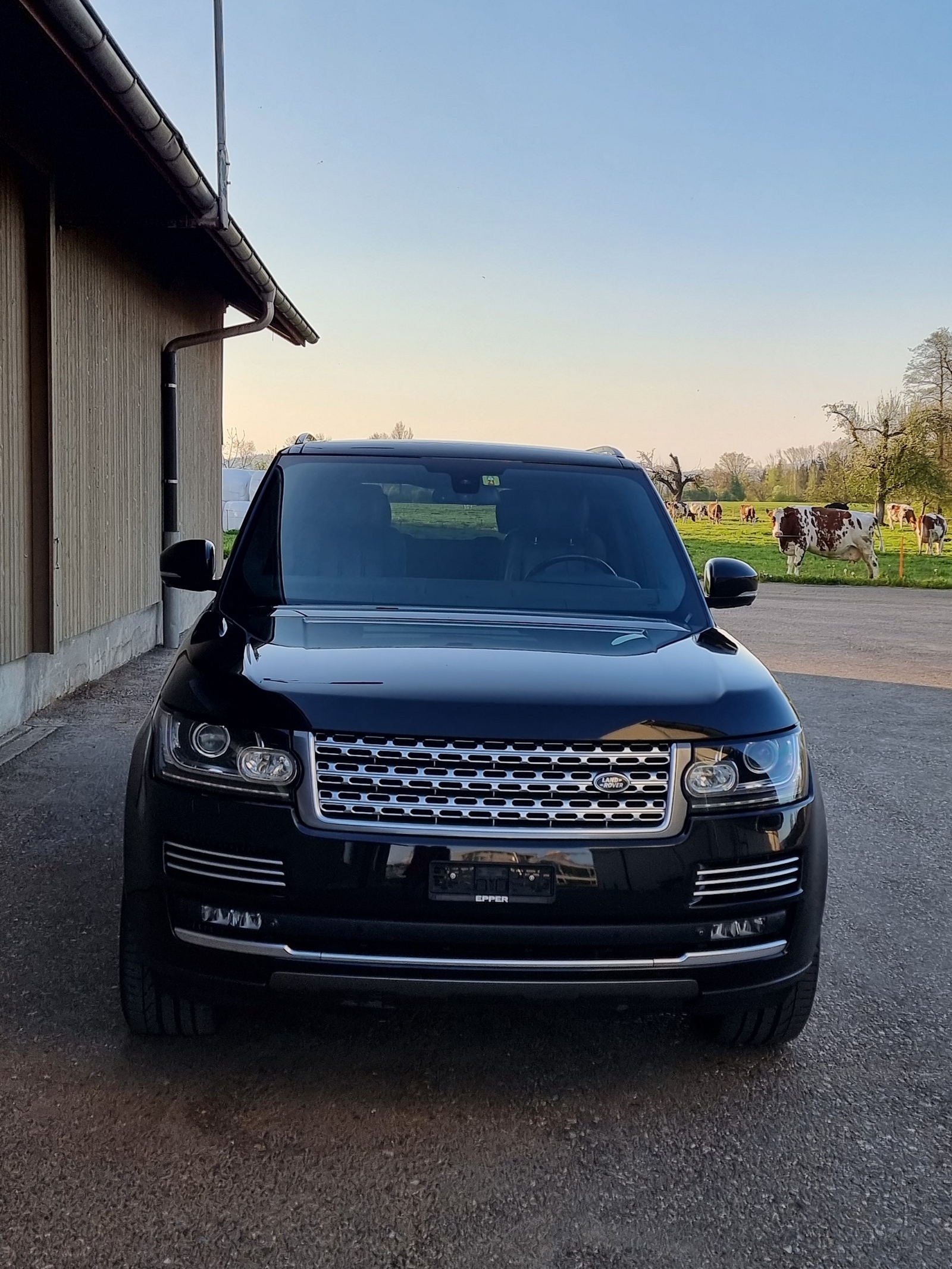 LAND ROVER Range Rover 4.4 TDV8 Autobiography Black Automatic-image-2