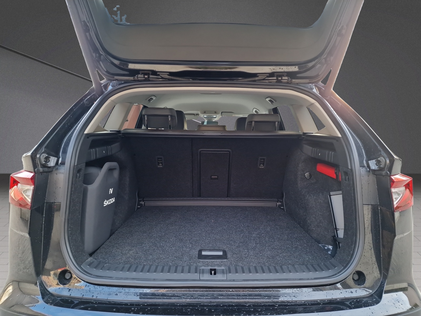 SKODA Enyaq iV 80x-image-9