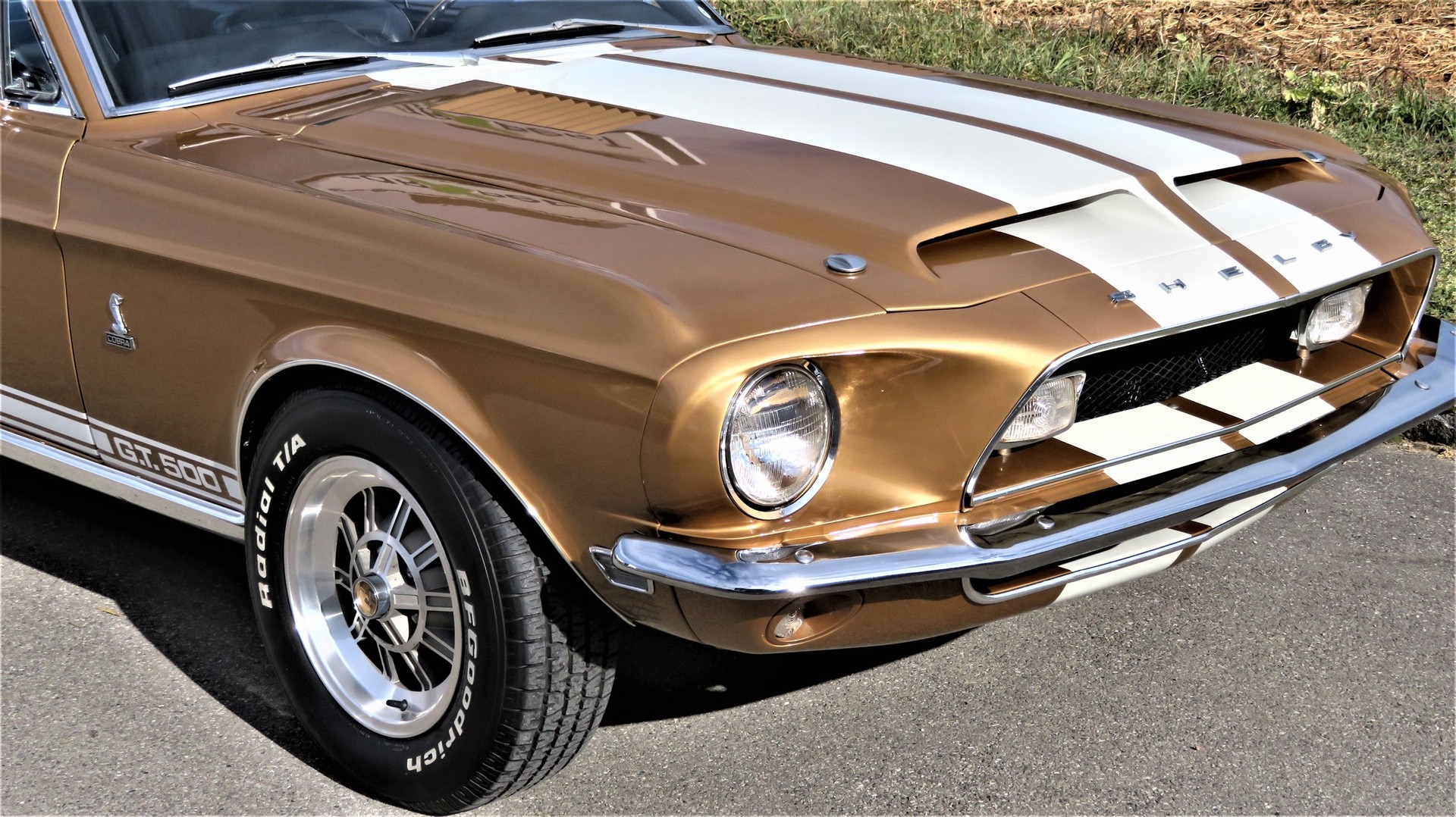 FORD MUSTANG Shelby GT 500 7.0 L-image-5