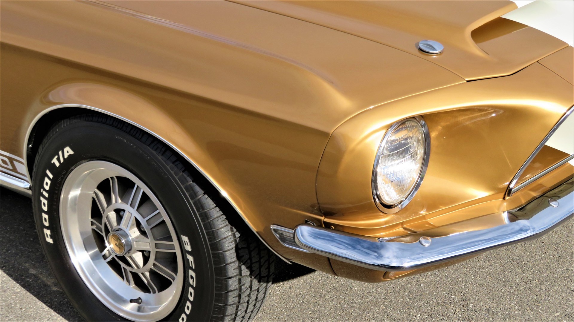 FORD MUSTANG Shelby GT 500 7.0 L-image-6