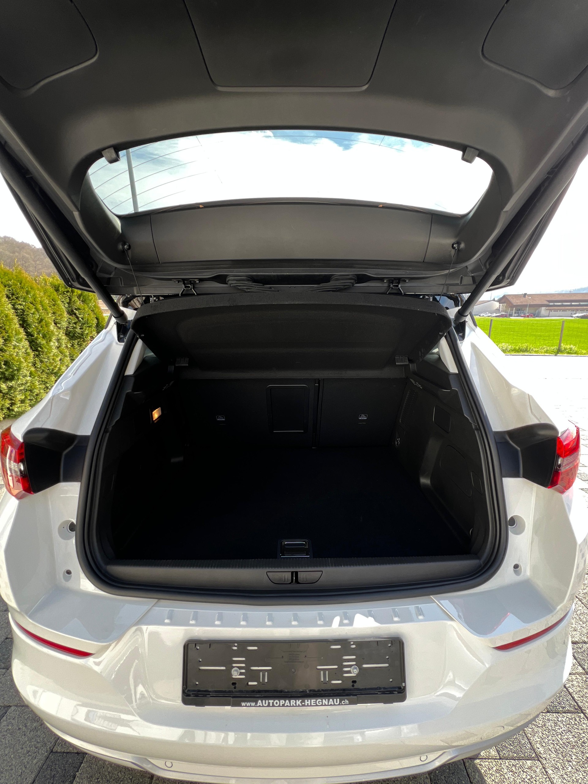 OPEL Grandland 1.6 Hybrid Elegance Automatik-image-5