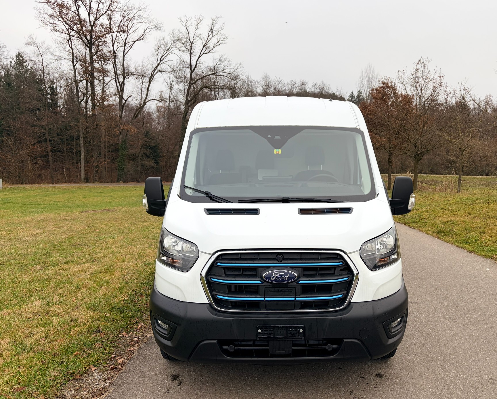 FORD E-Transit Van 350 L2 Trend RWD 68kWh-image-1