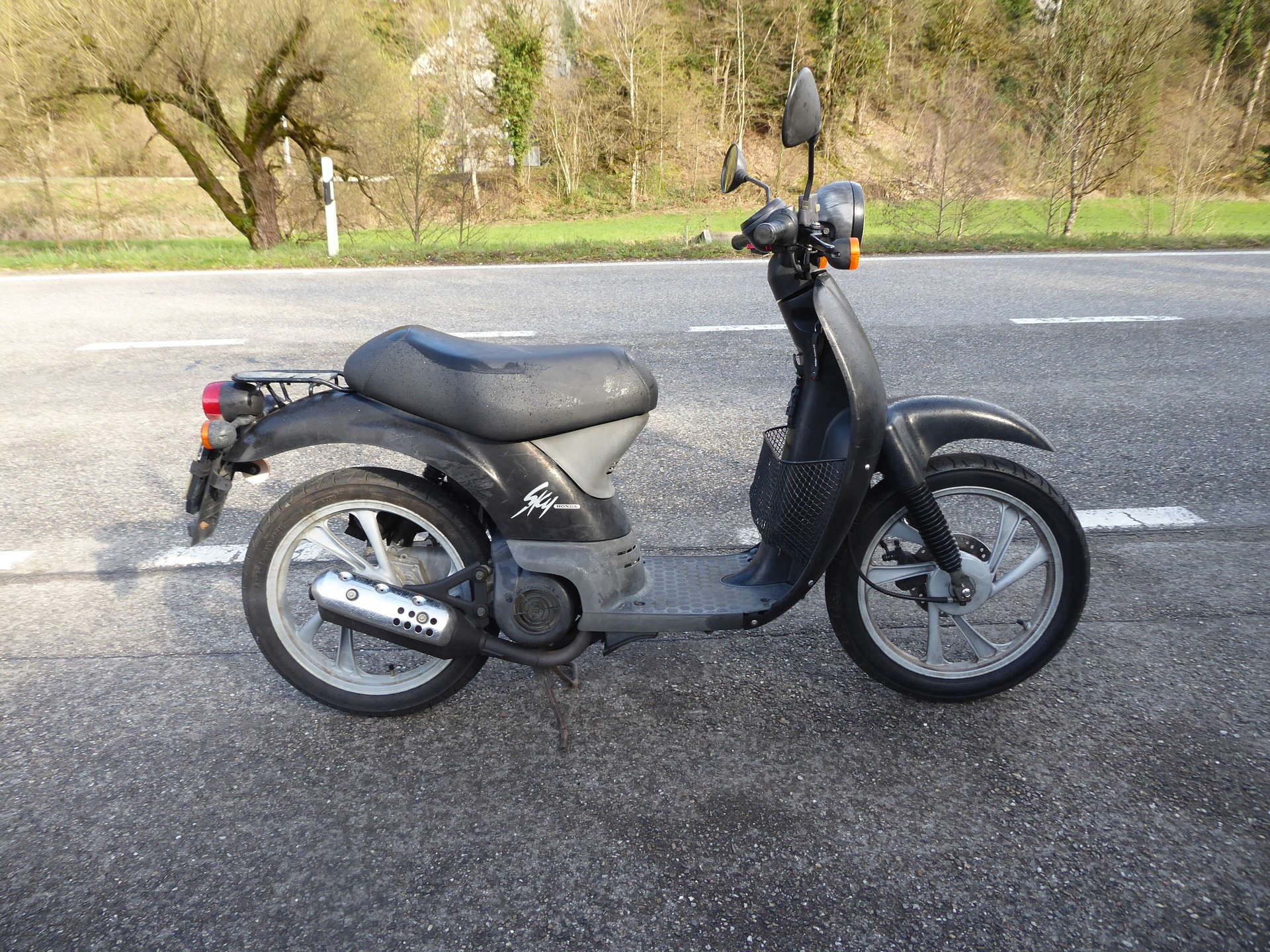 HONDA SGX 50 Sky