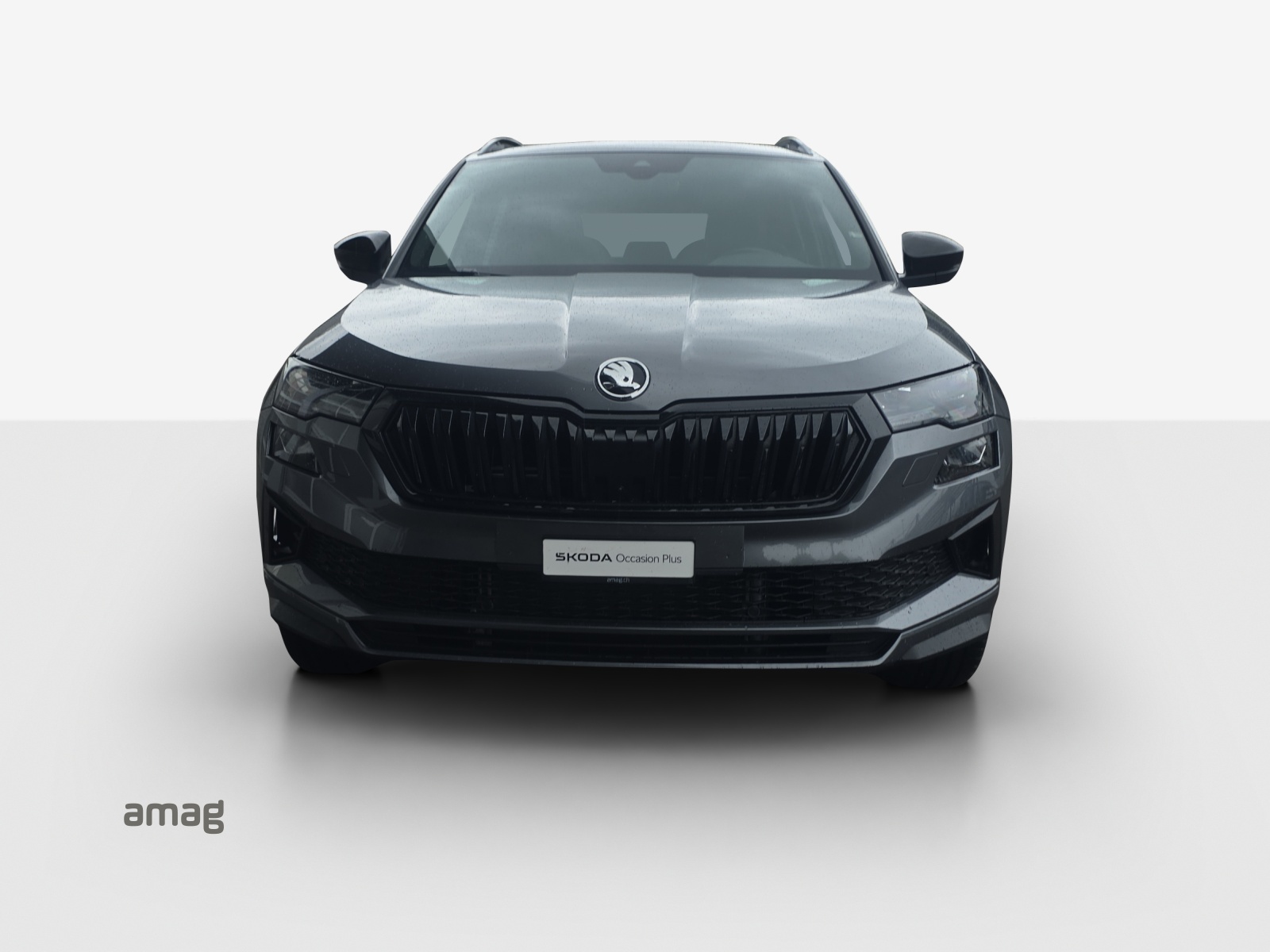 SKODA Karoq 2.0 TSI SportLine 4x4 DSG-image-6