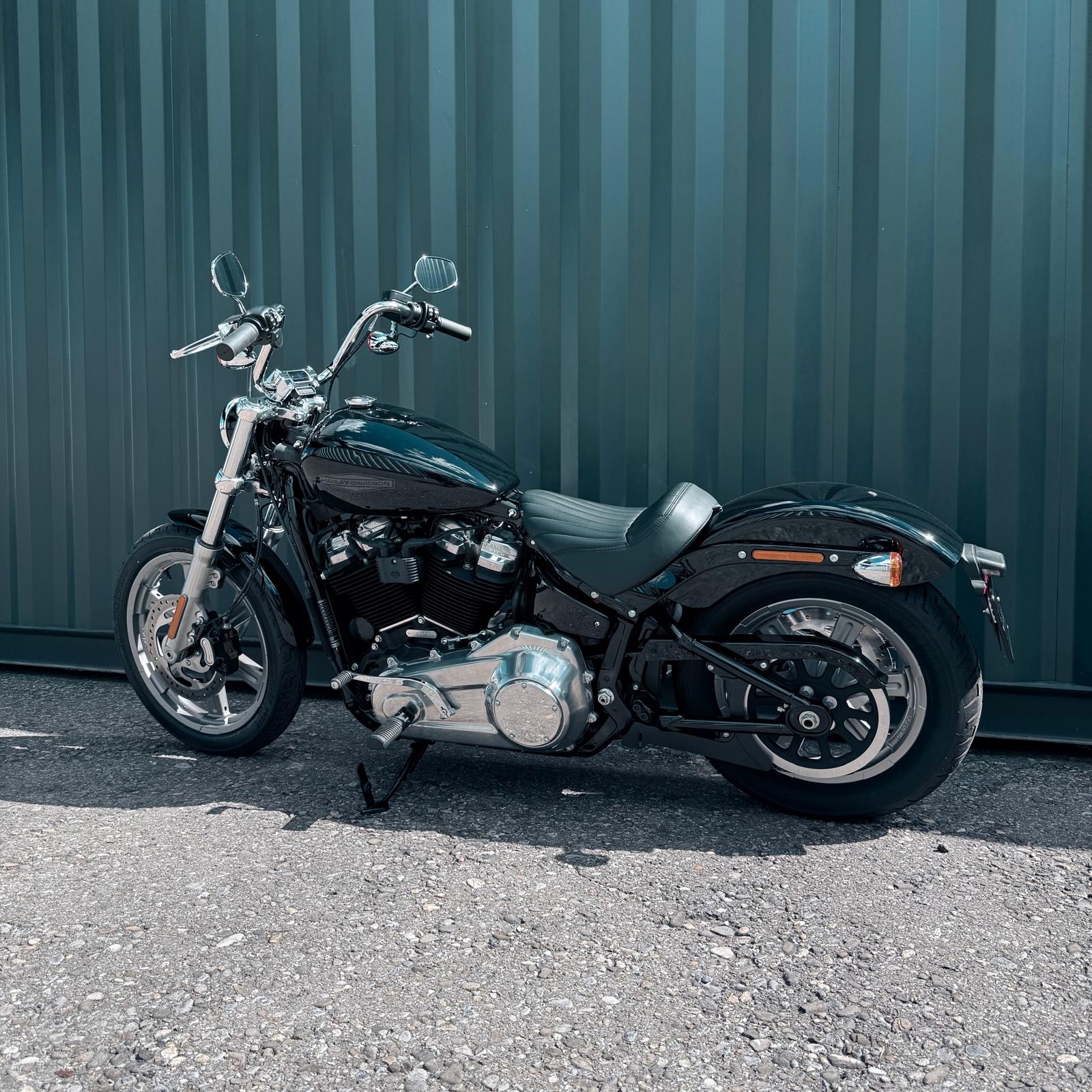 HARLEY-DAVIDSON FXST Softail Standard 107-showroom-element-3
