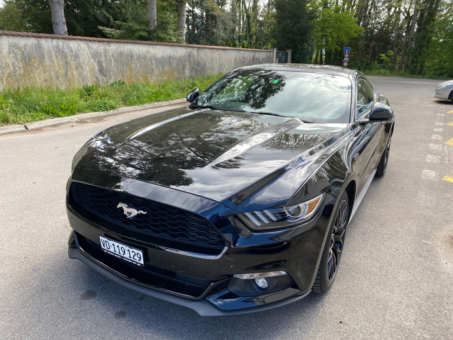 FORD 2.3 EcoBoost-image-2