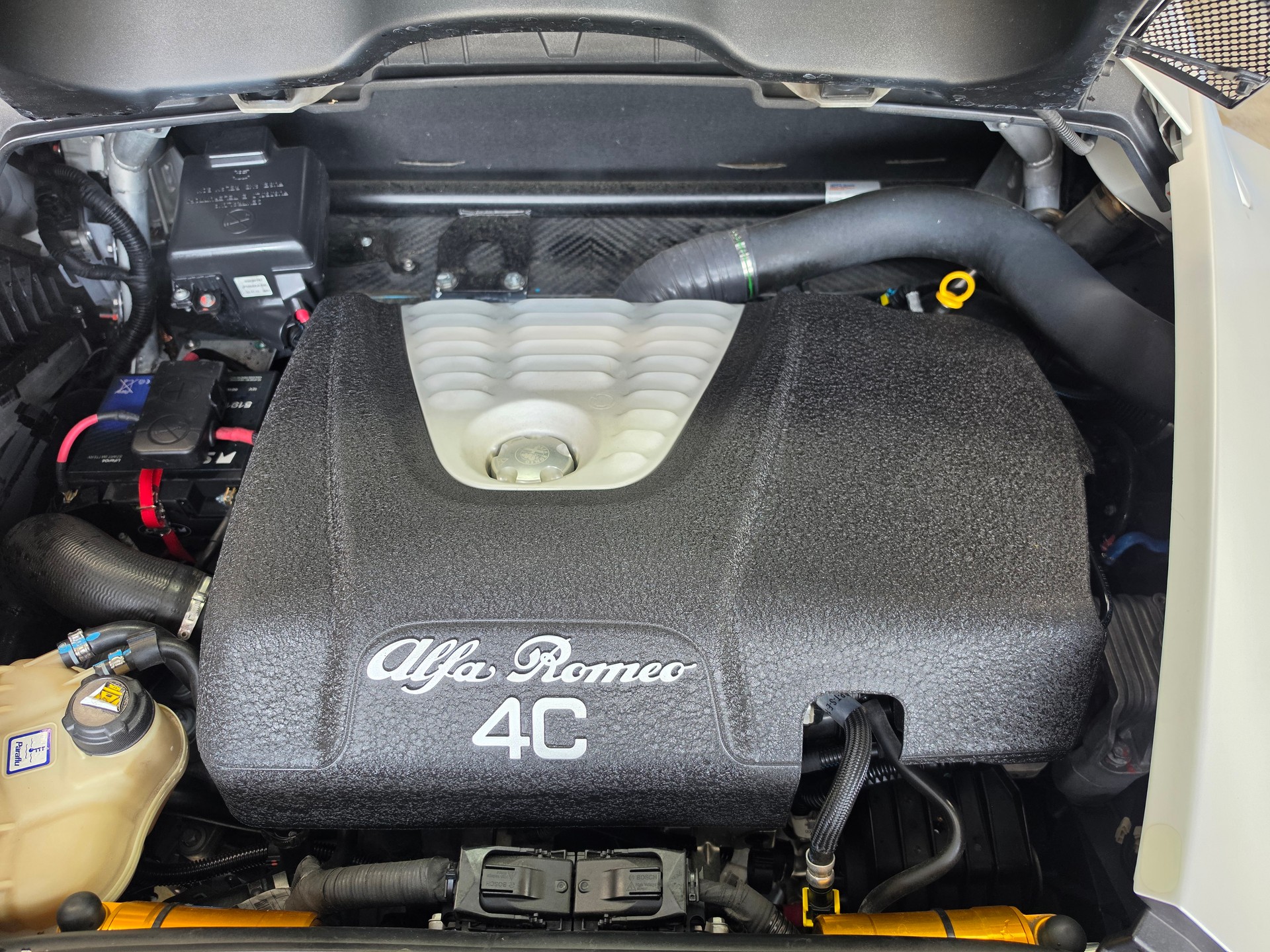 ALFA ROMEO 4C 1750 Launch Edition Nr. 224-image-7