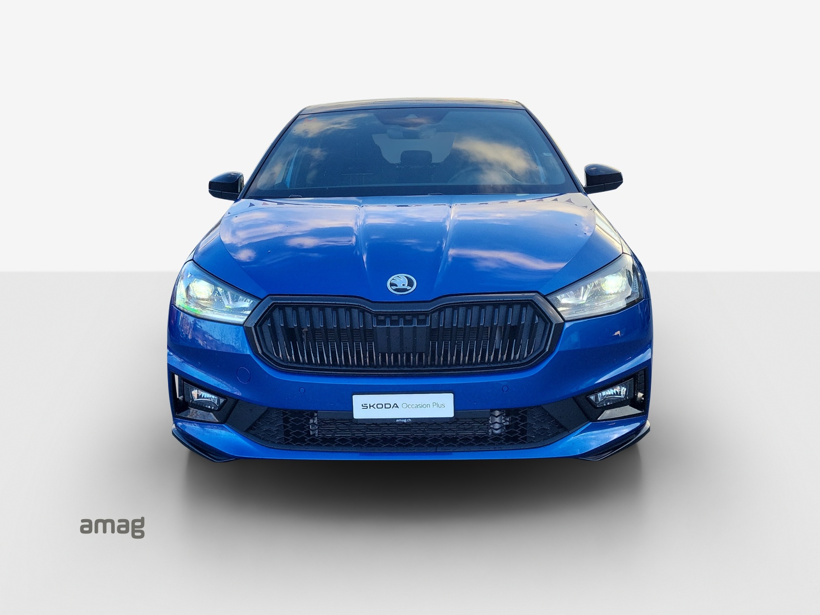 SKODA Fabia 1.5 TSI Monte Carlo DSG-image-6