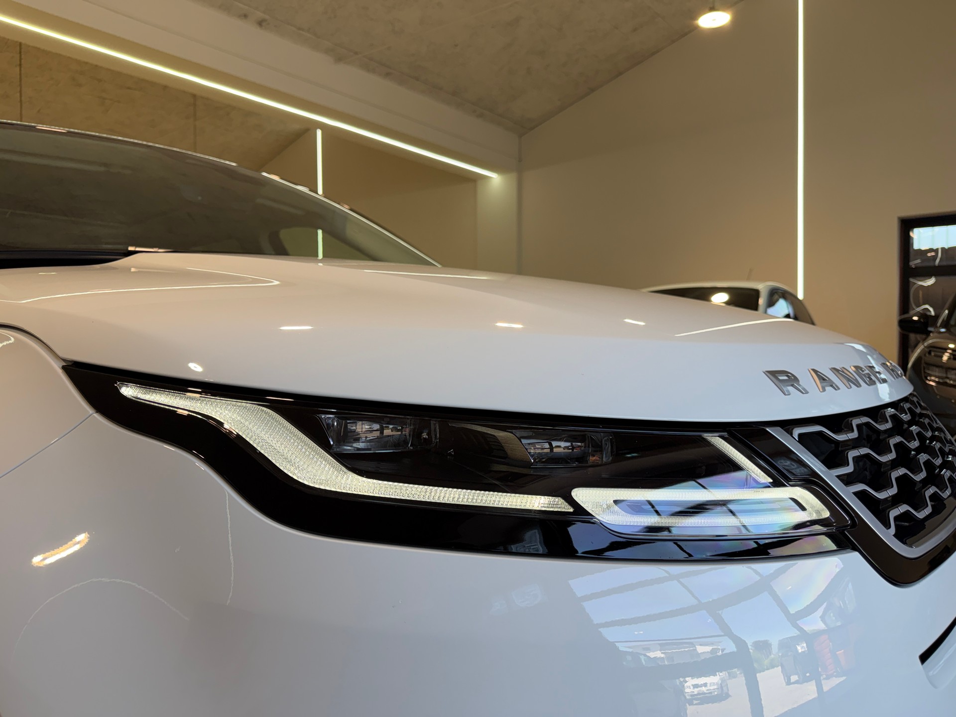 LAND ROVER Range Rover Evoque D 200 MHEV SE AT9-image-13