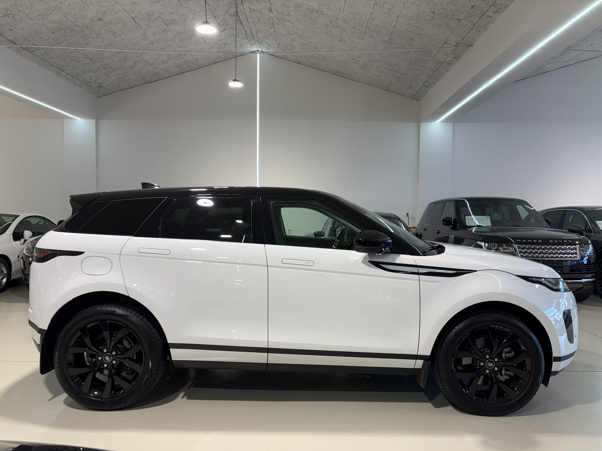 LAND ROVER Range Rover Evoque D 200 MHEV SE AT9-image-10