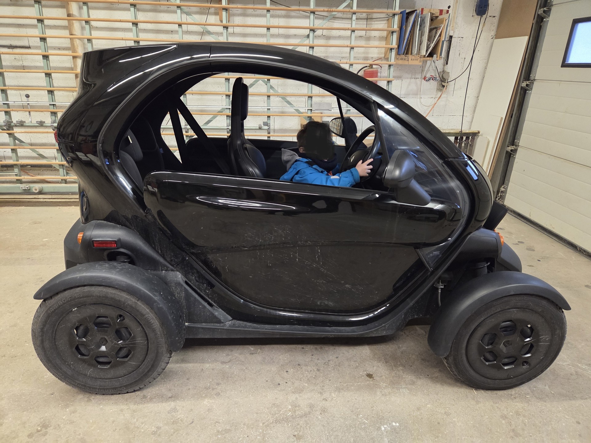 RENAULT Life inkl. Batterie-image-1
