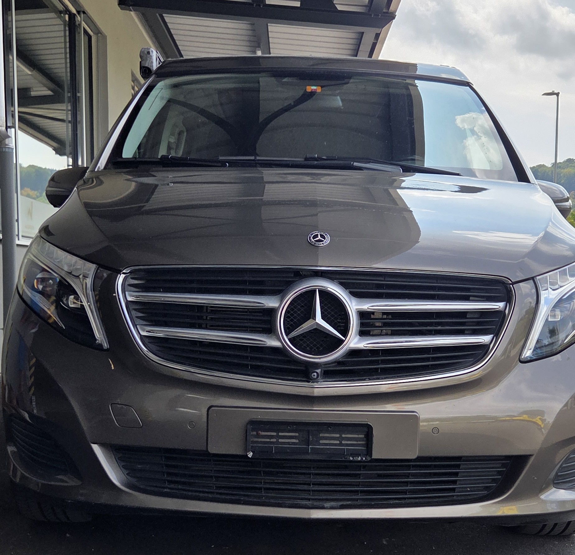 MERCEDES-BENZ 250 d Horizon 4matic-image-4