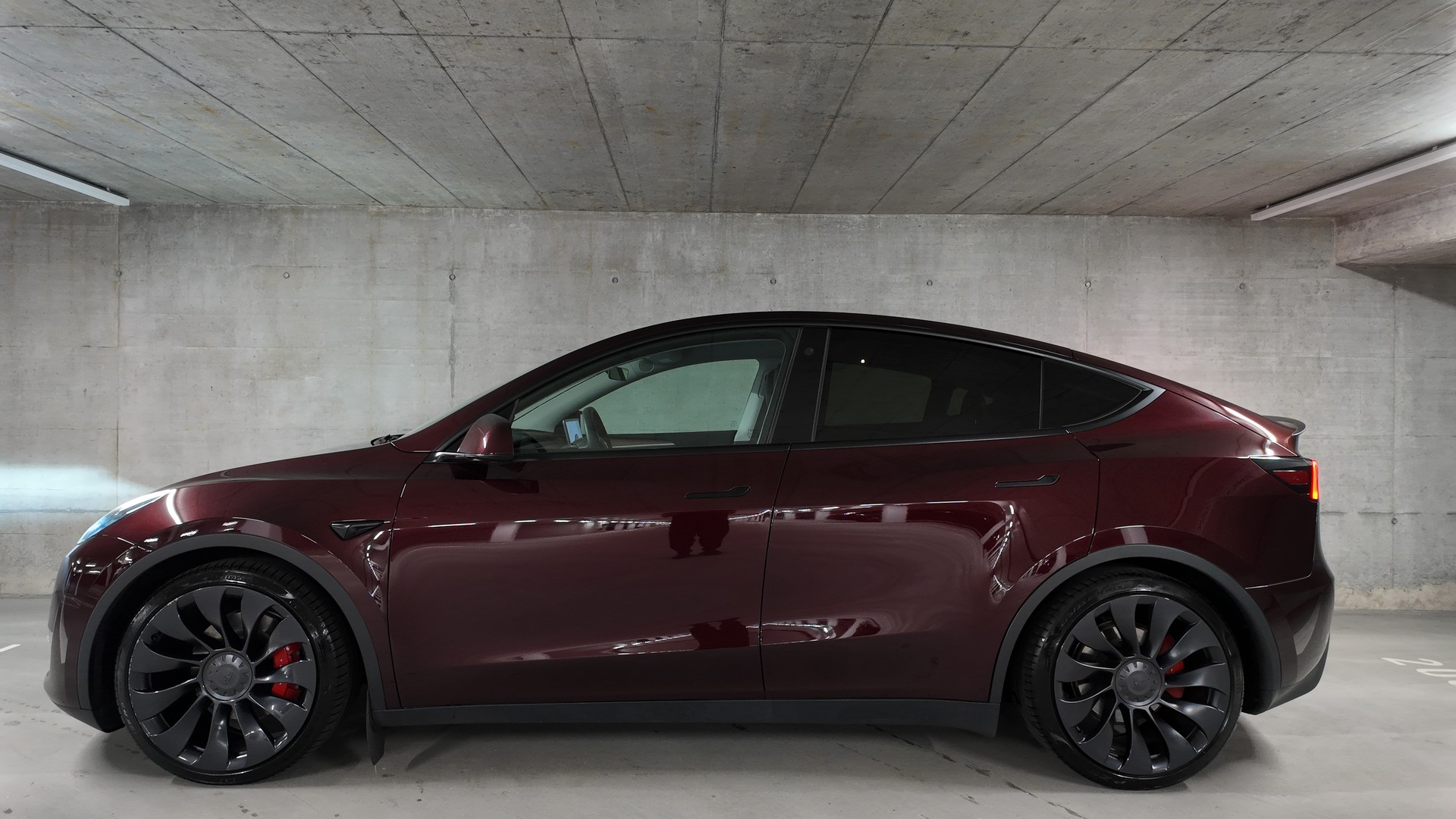 TESLA Model Y Performance-image-2