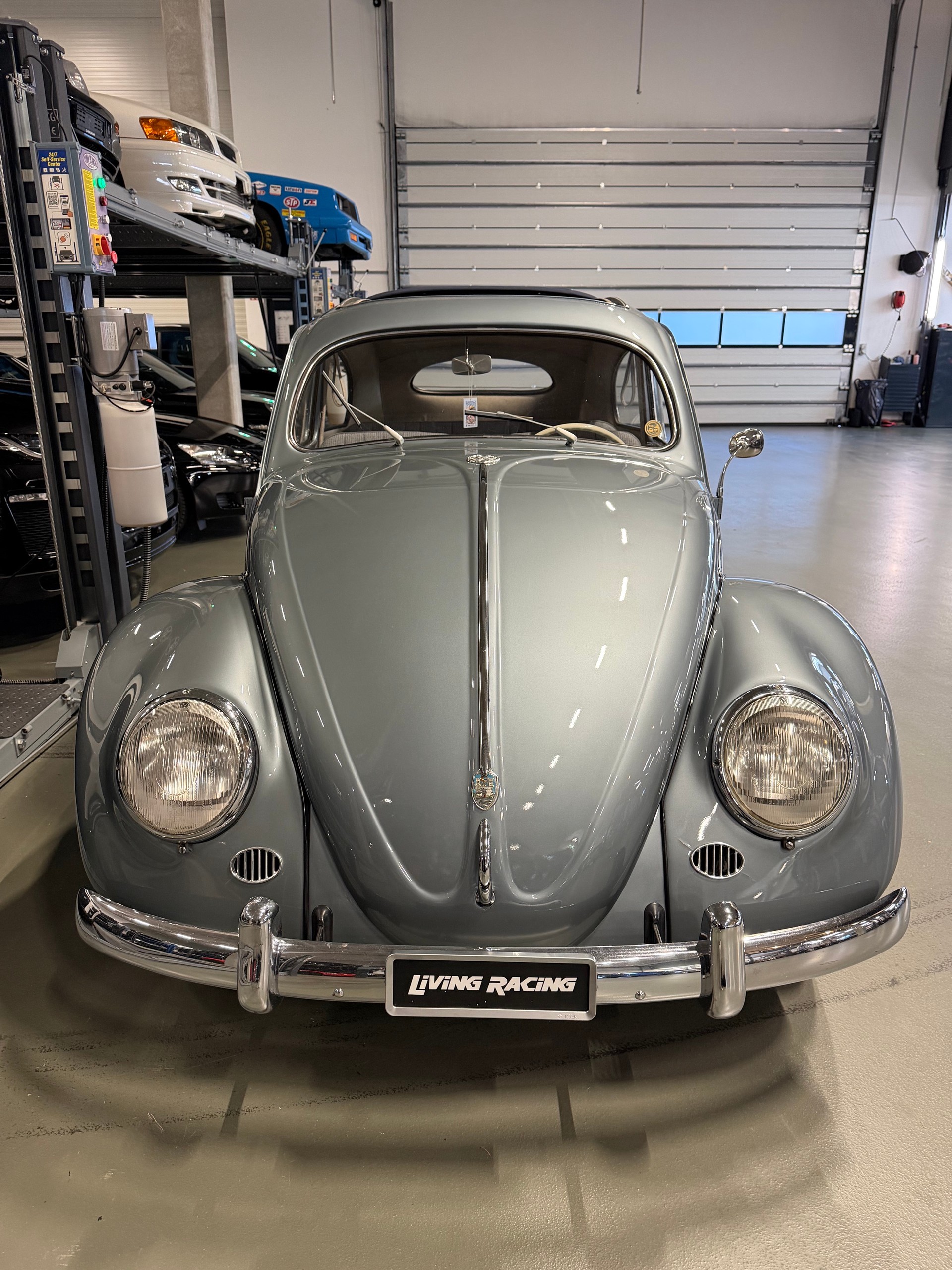 VW ovale de luxe découvrable *vétéran*-image-6