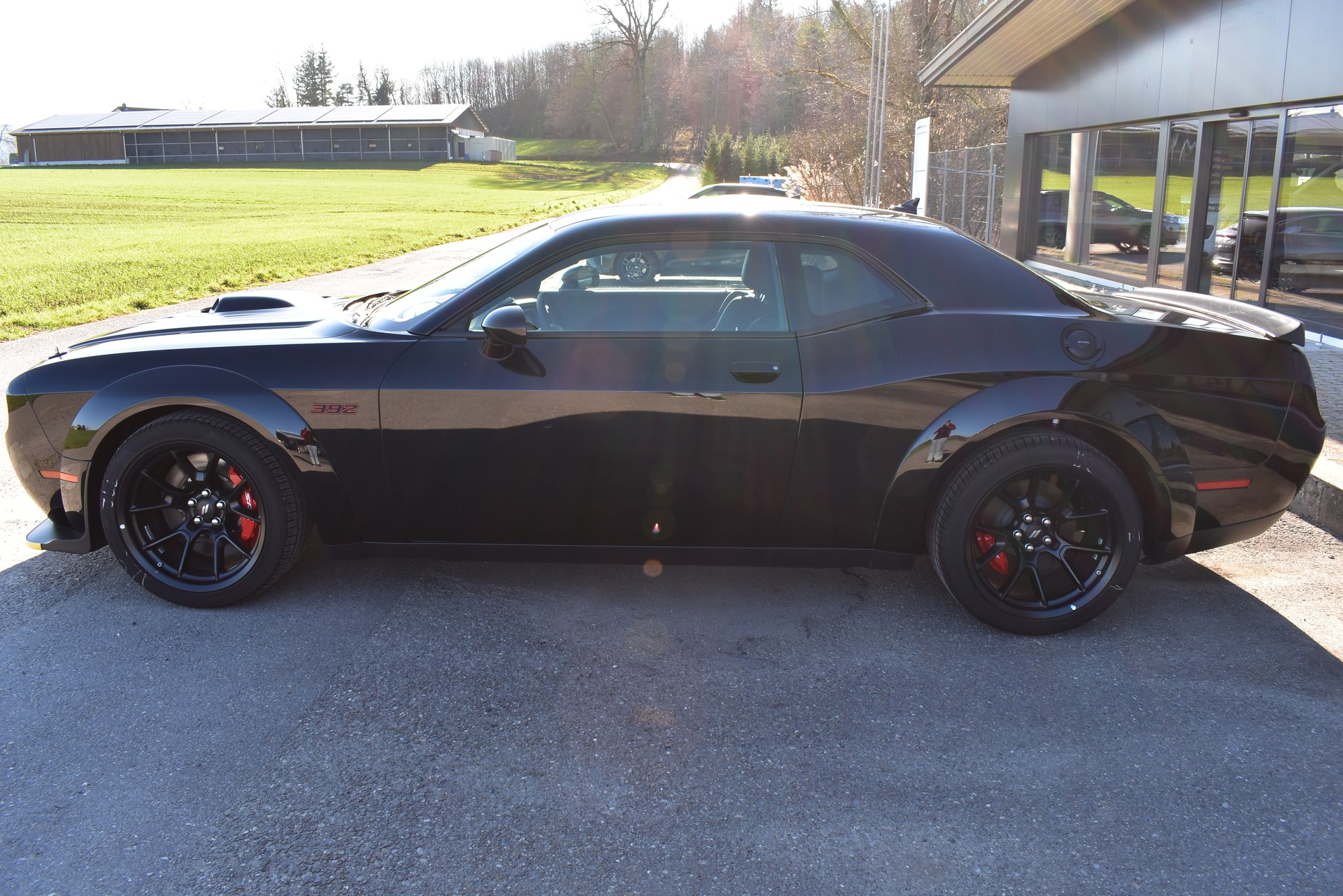 DODGE Challenger Shakedown-image-1