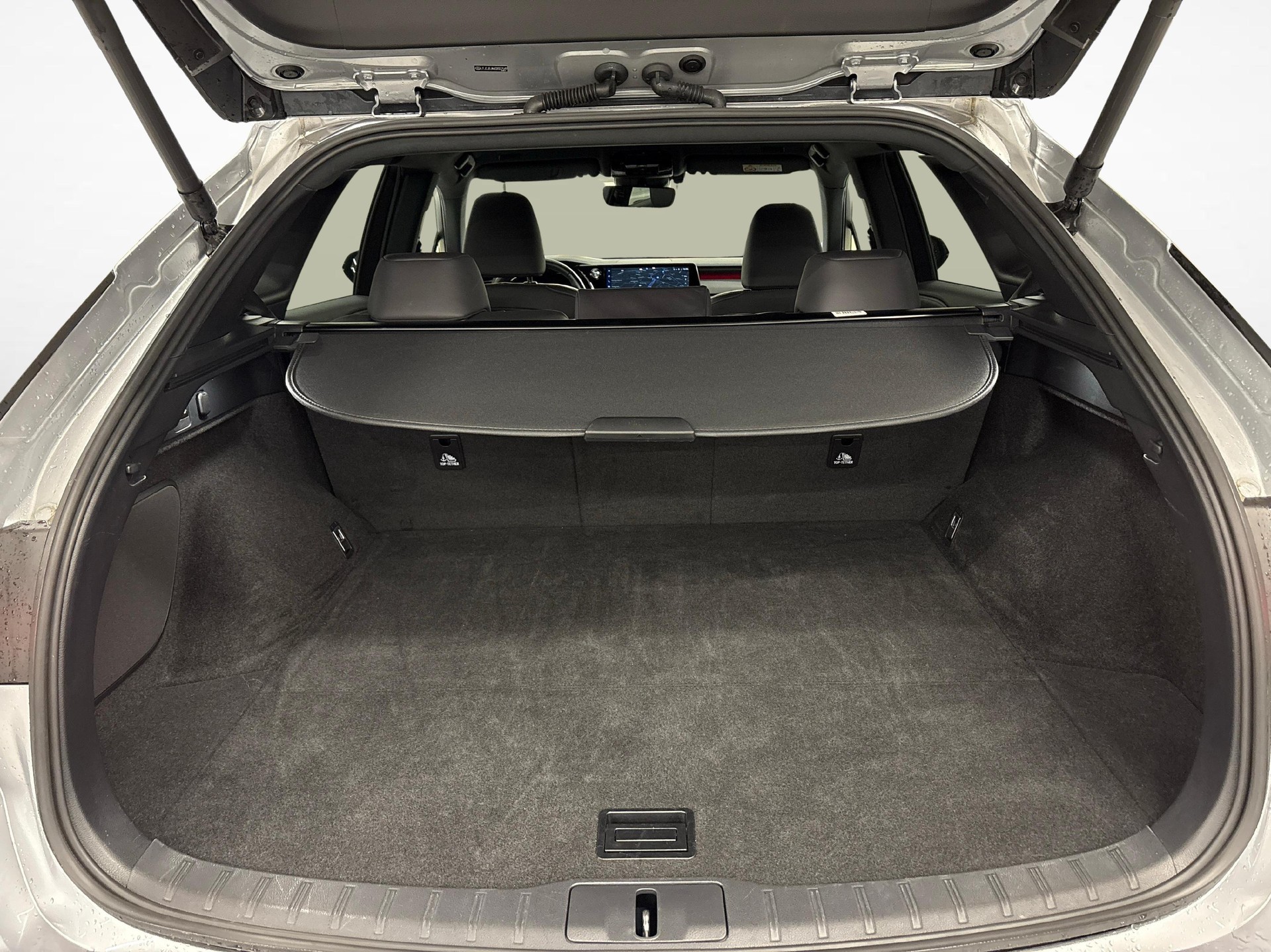 LEXUS RX 350h F-Line-image-12