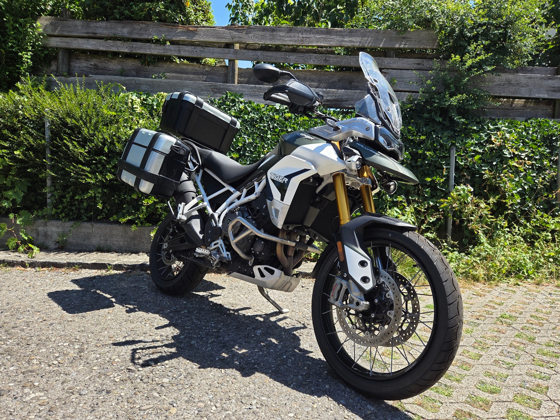 TRIUMPH Tiger 900 Rally Pro-showroom-element-1