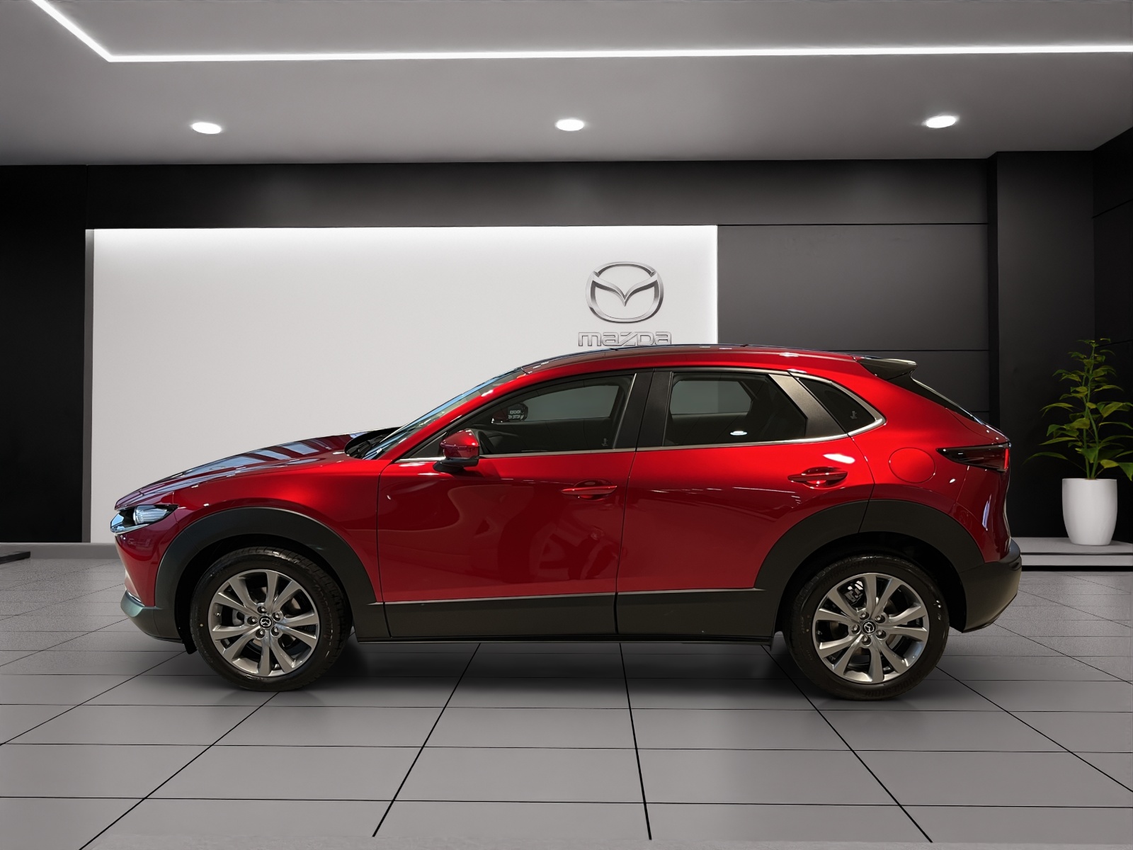 MAZDA CX-30 SKYACTIV-G 140 M Hybrid Centre Line FWD AT-image-10