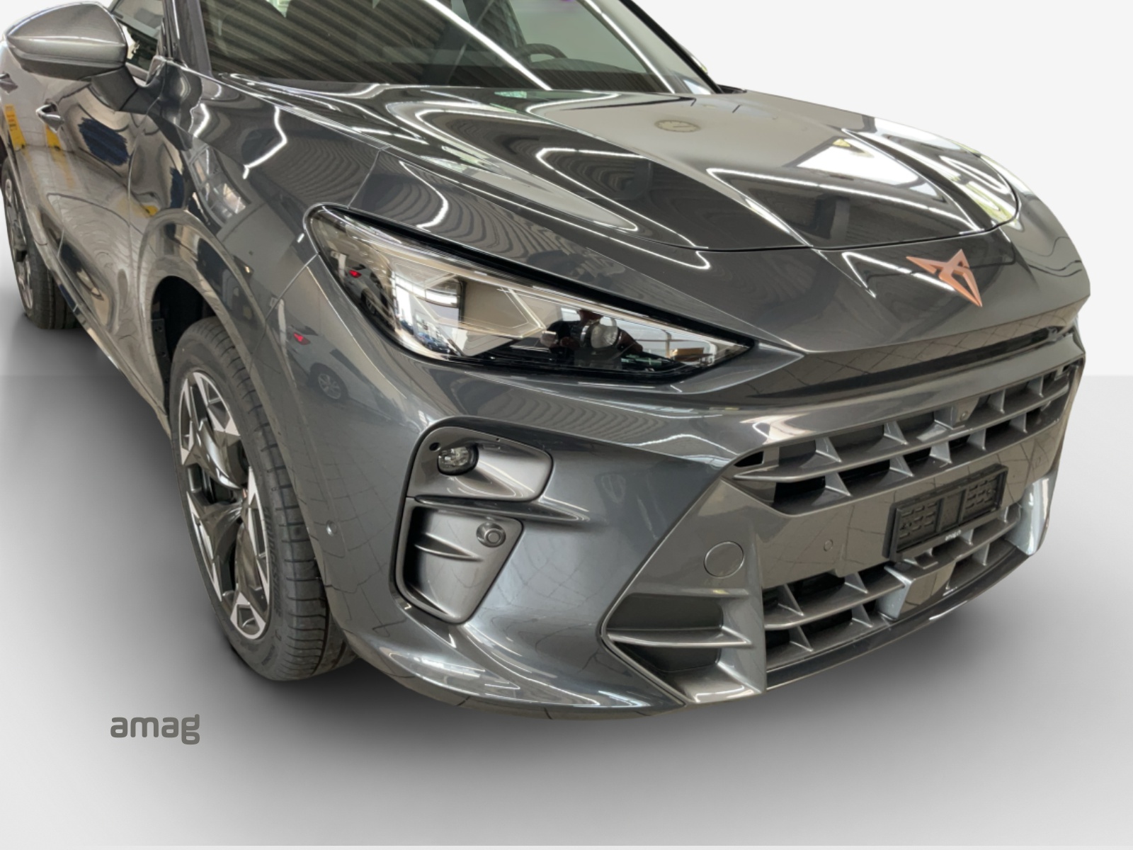 CUPRA Terramar 2.0 TSI DSG 4Drive-image-15