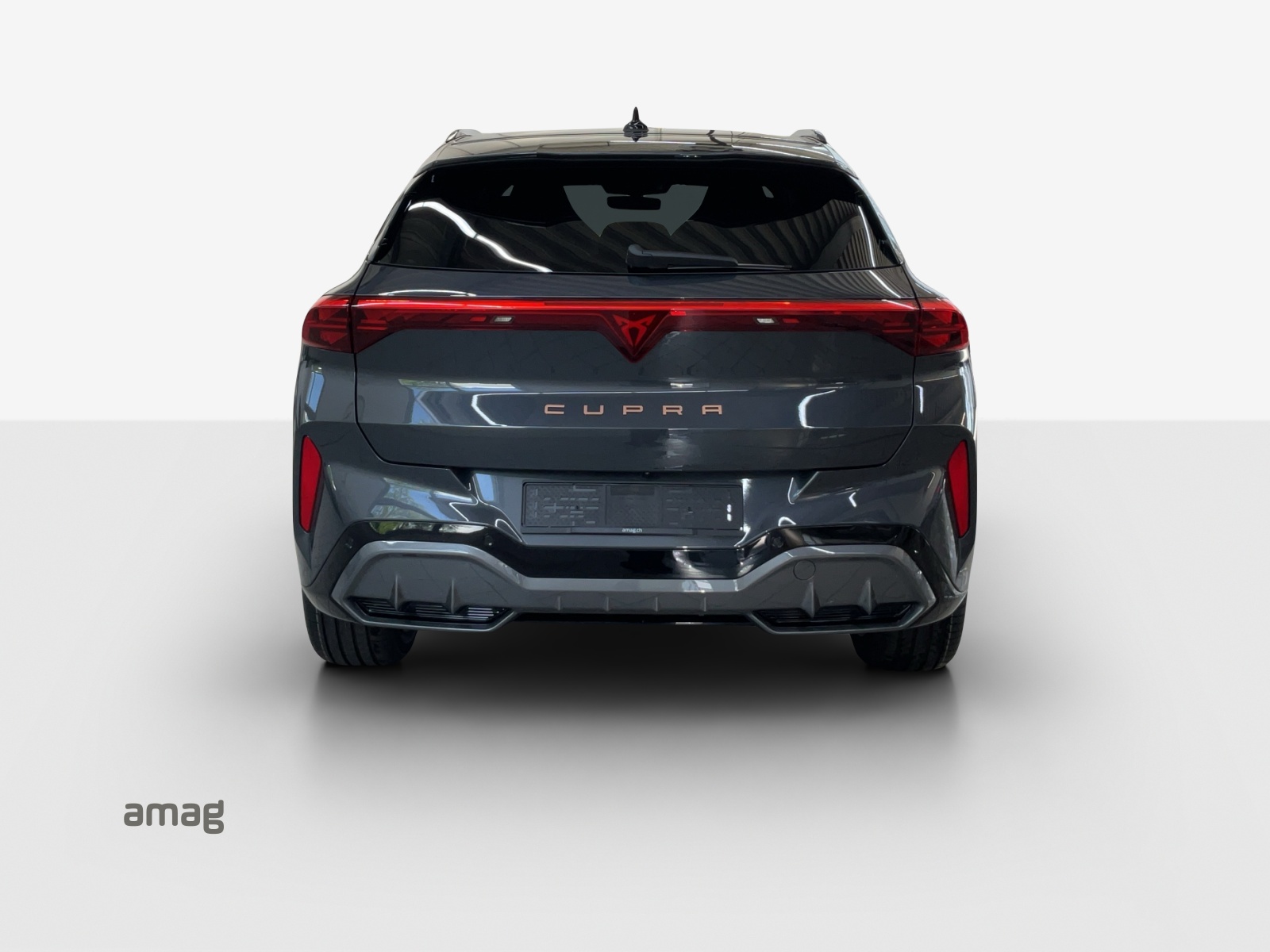 CUPRA Terramar 2.0 TSI DSG 4Drive-image-3