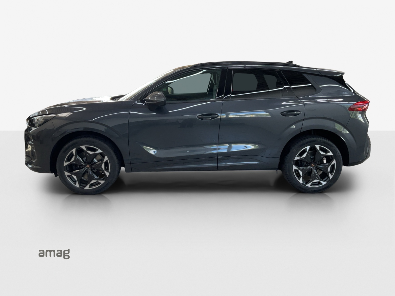 CUPRA Terramar 2.0 TSI DSG 4Drive-image-1