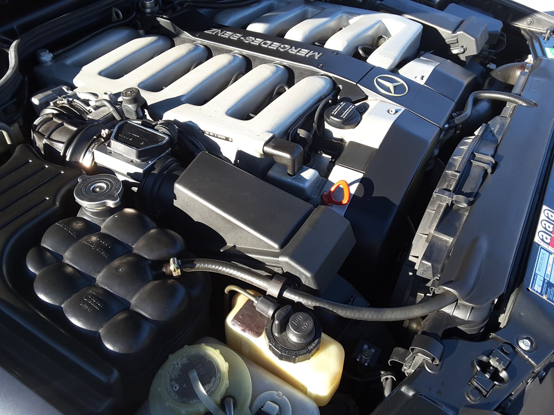 MERCEDES-BENZ SL 600 Automatic-image-7