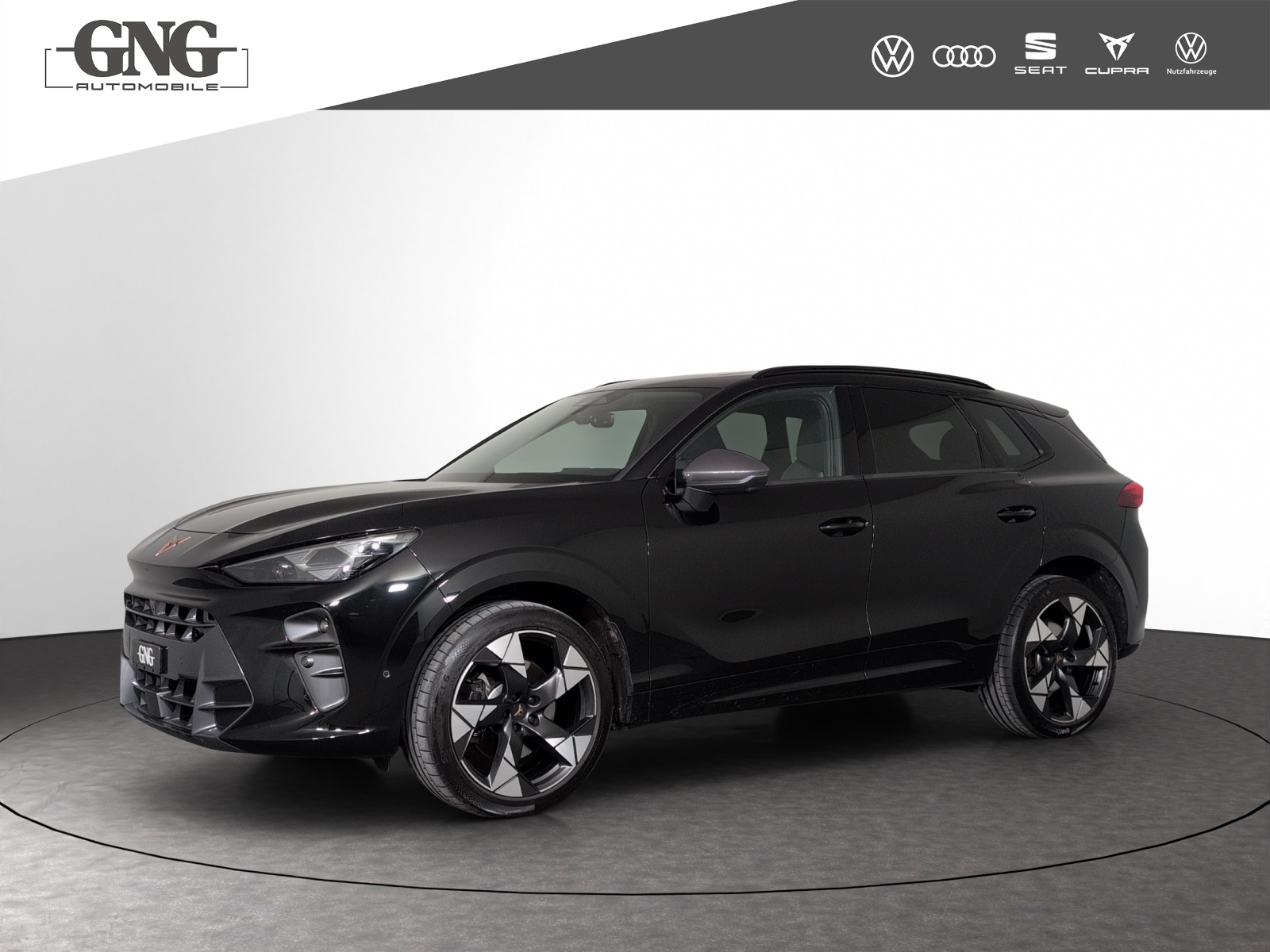 CUPRA Terramar 2.0 TSI DSG 4Drive VZ-image-0