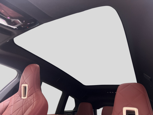 BMW iX xDrive40-image-11