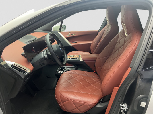 BMW iX xDrive40-image-8