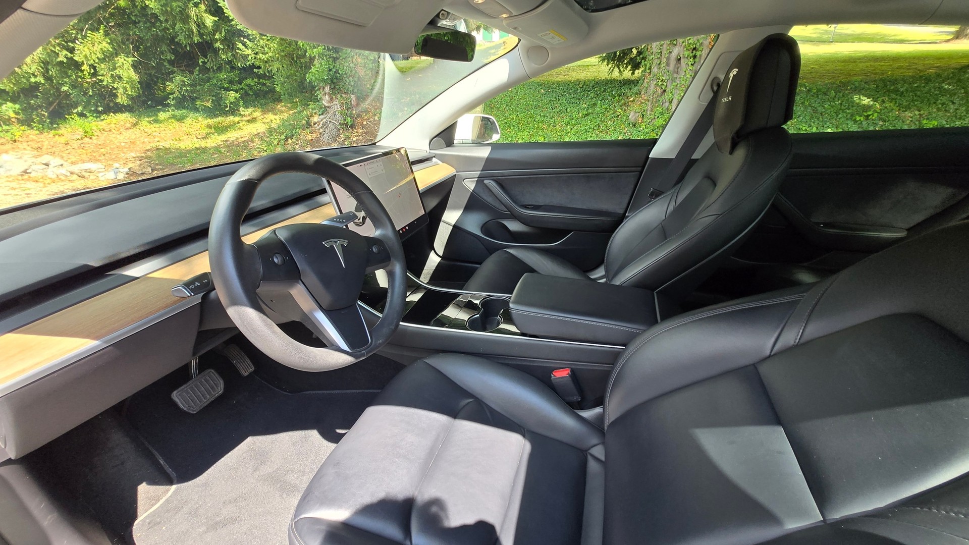 TESLA Standart Range Plus-image-2