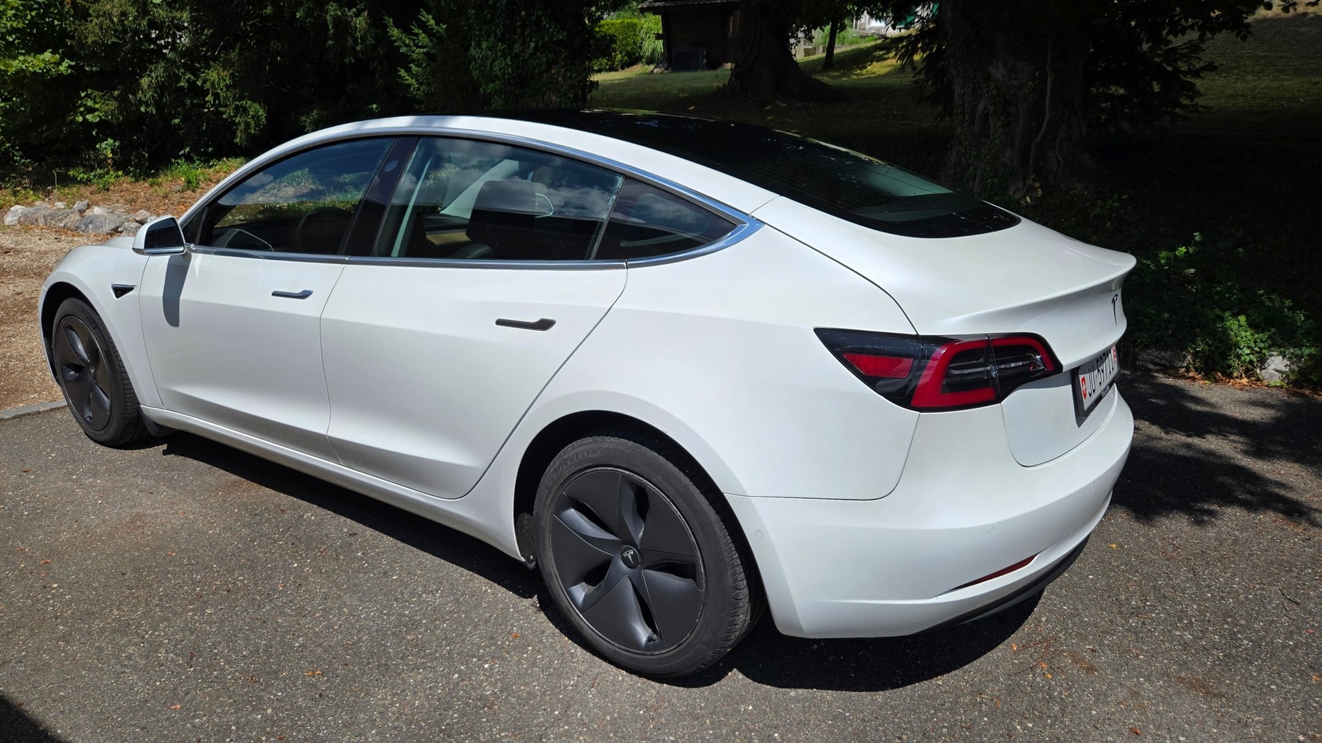 TESLA Standart Range Plus-image-1