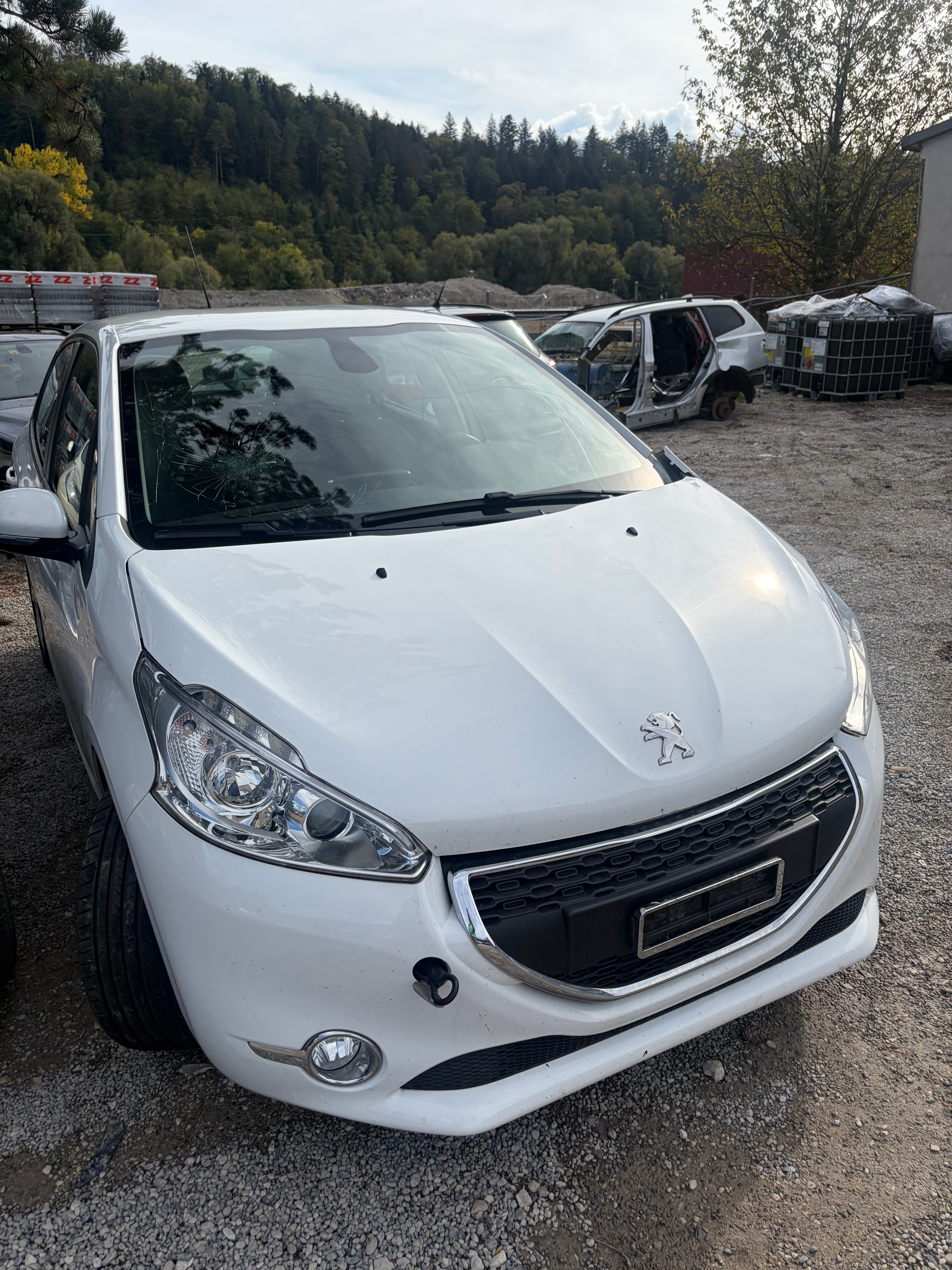 Car photo
